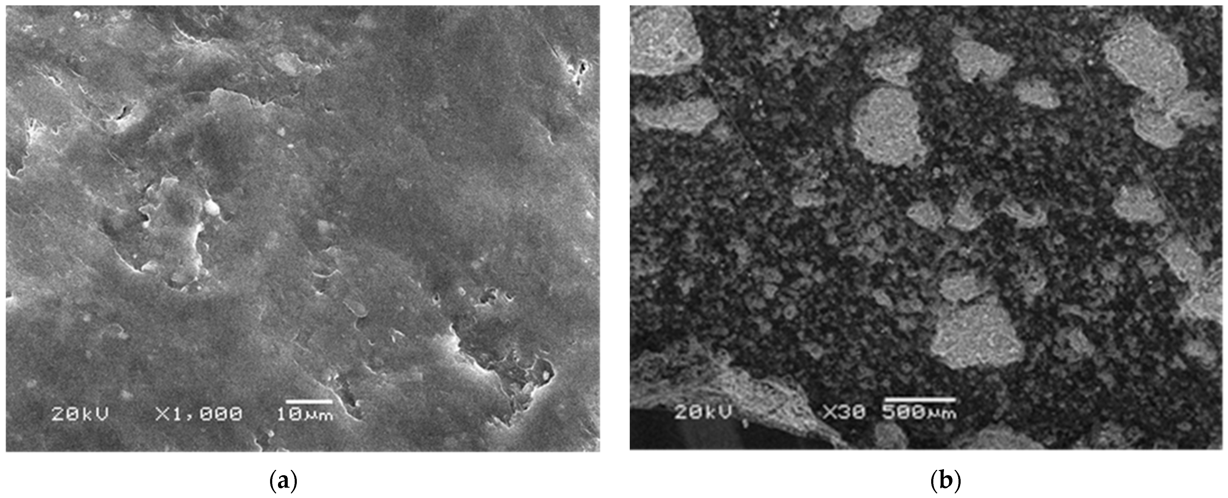 Polymers 14 00111 g013