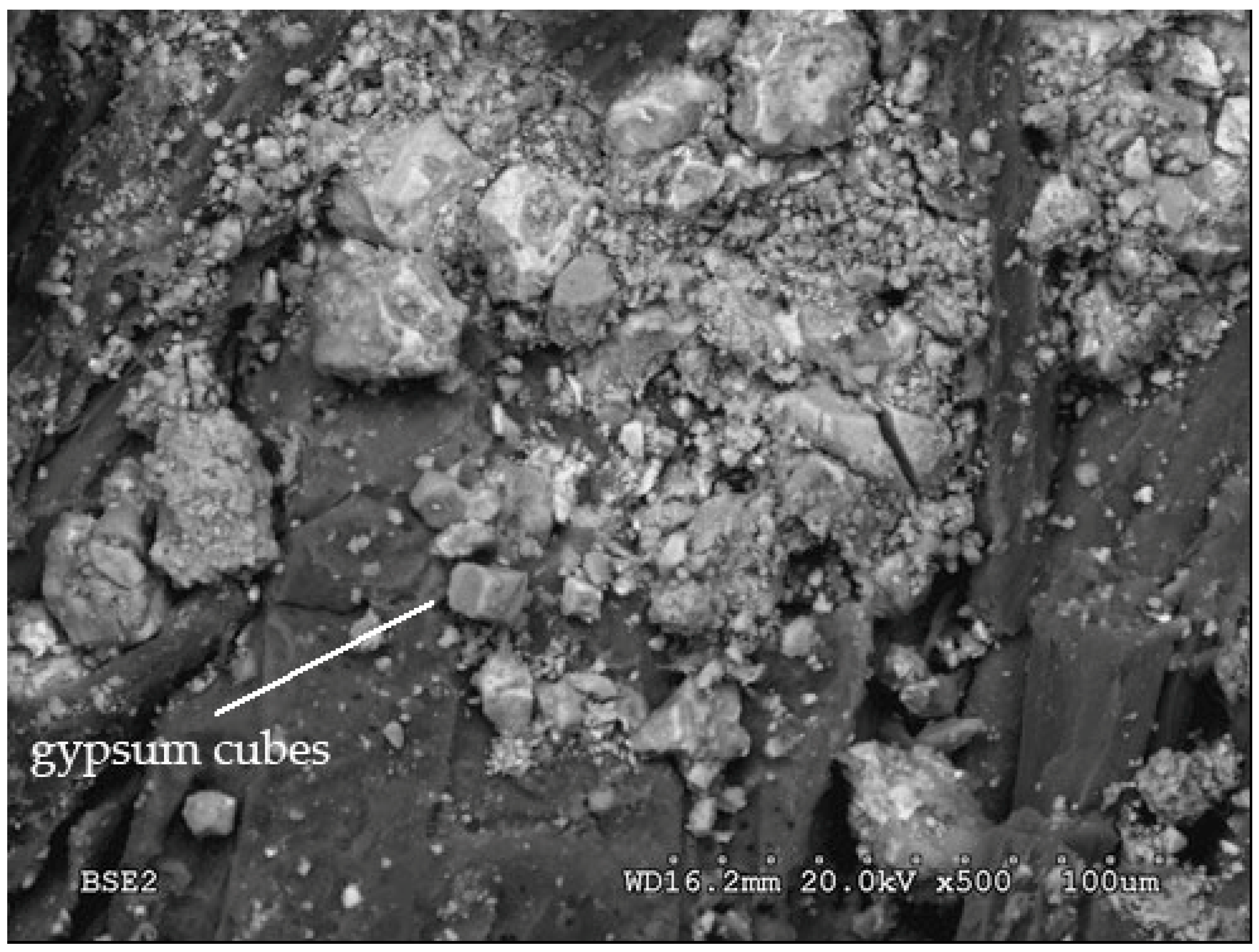 Polymers 14 00111 g014