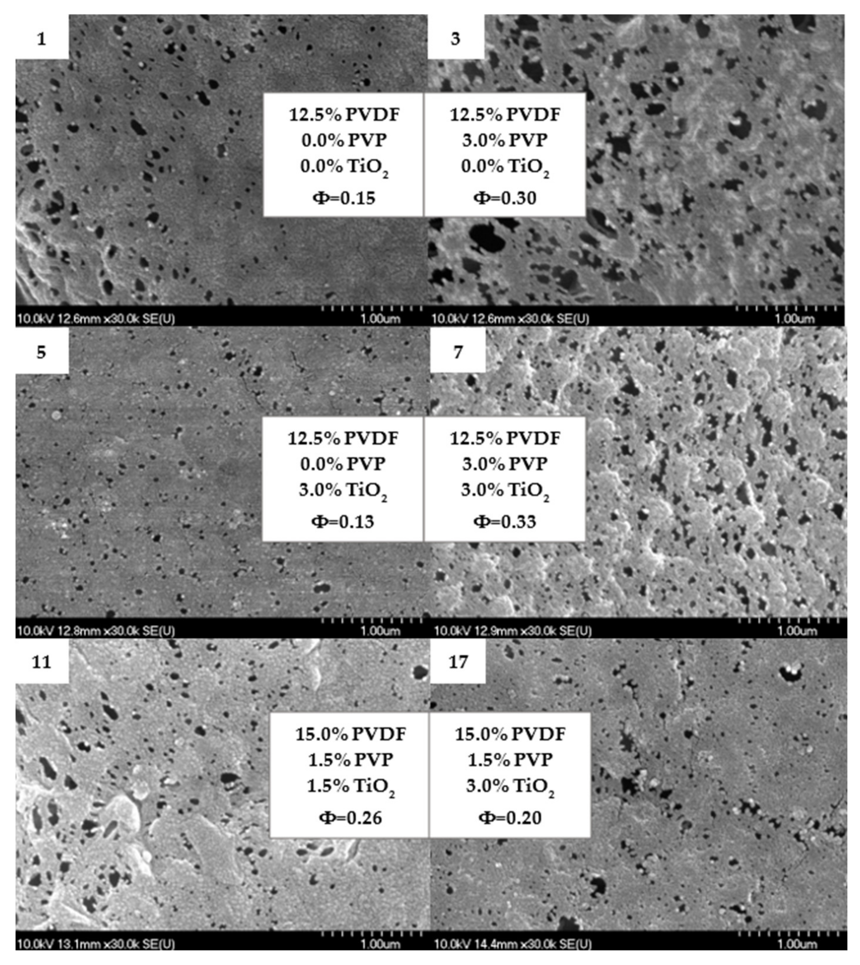 Polymers 14 00113 g003 550