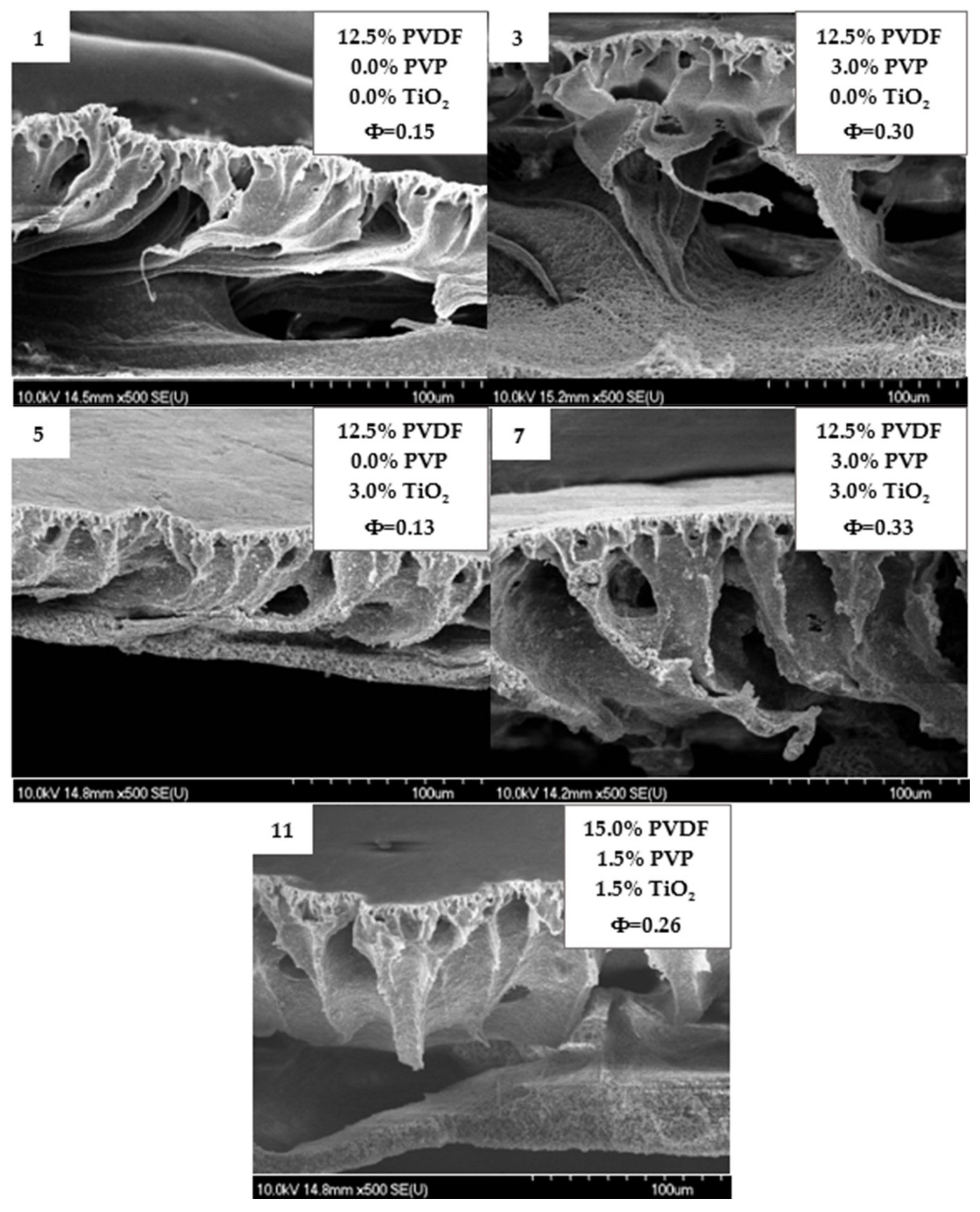 Polymers 14 00113 g004 550