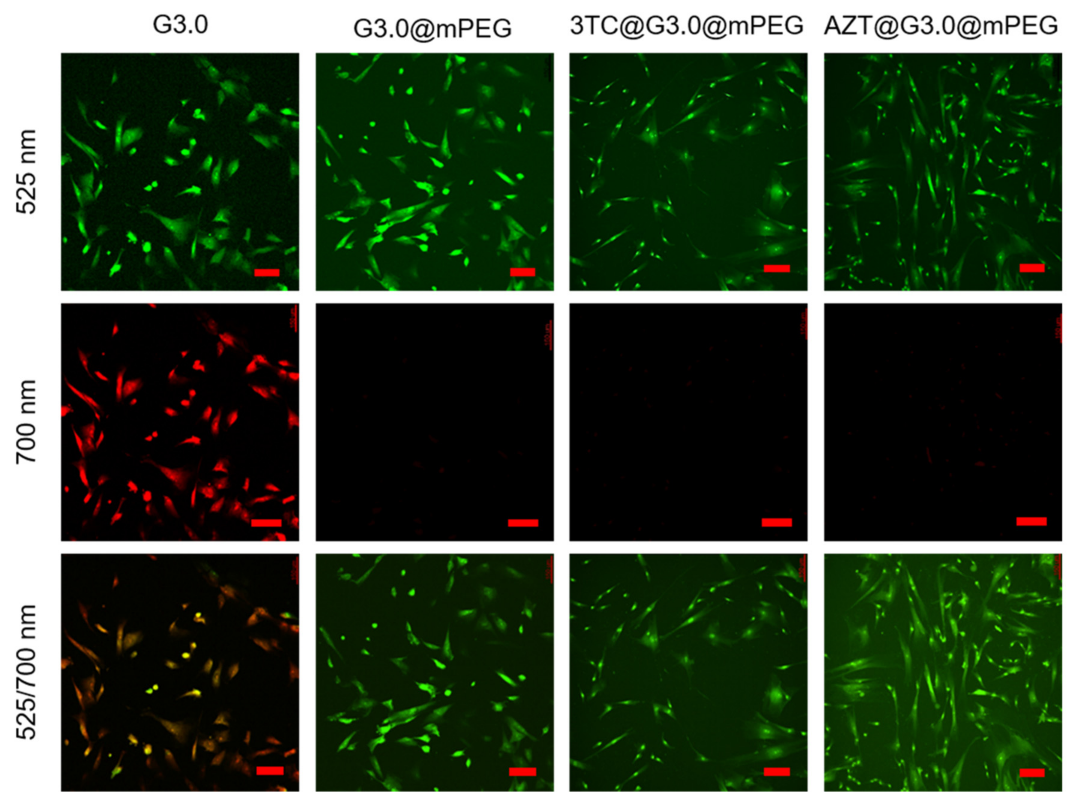 Polymers 14 00114 g005