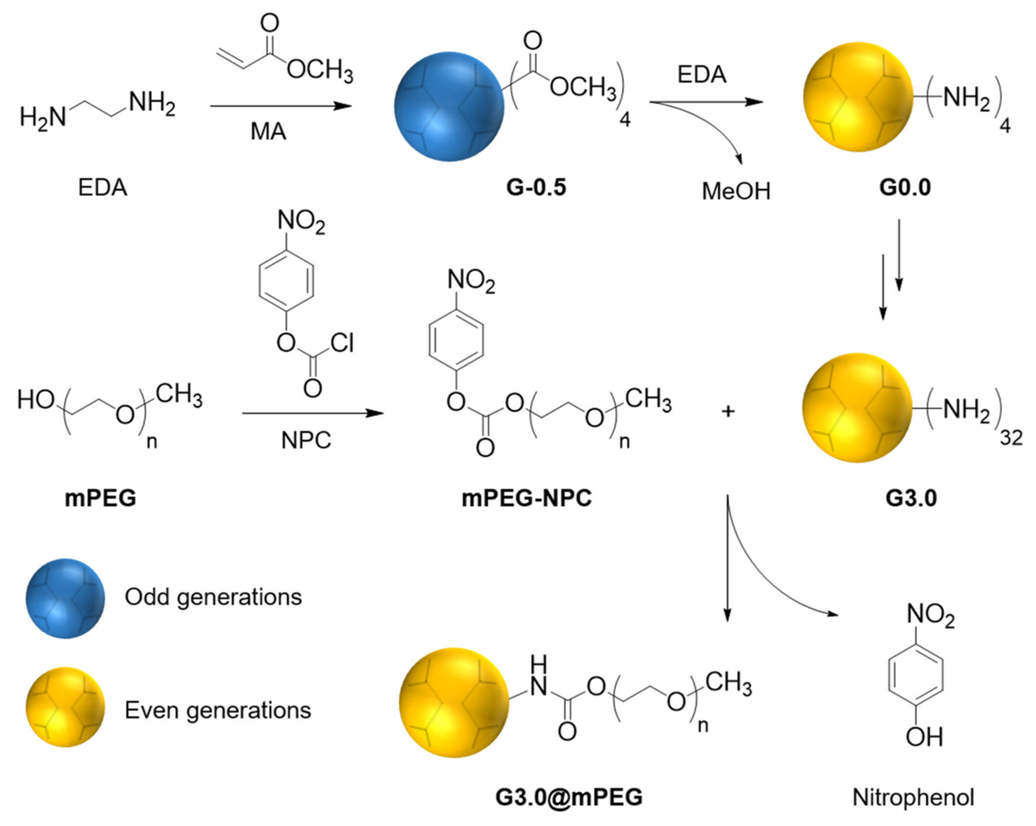 Polymers 14 00114 sch001