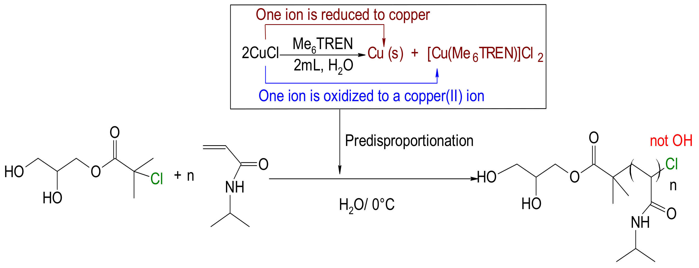 Polymers 14 00116 sch003 Polymers 14 00116 sch003