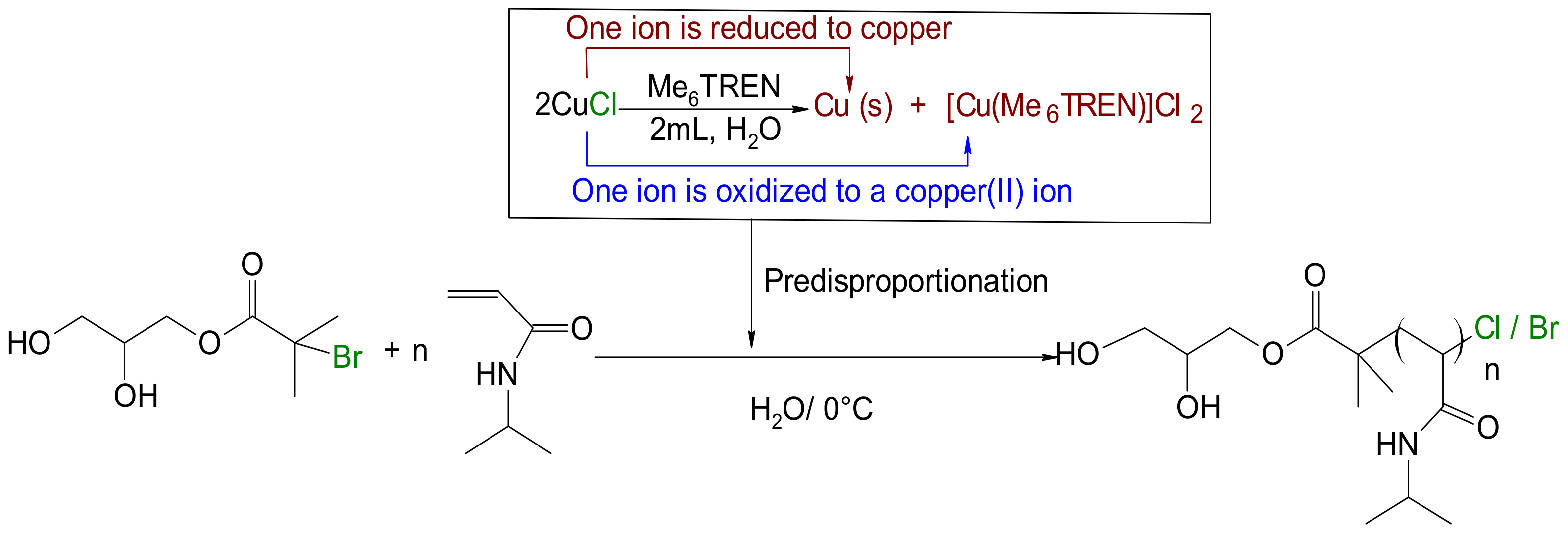 Polymers 14 00116 sch005 Polymers 14 00116 sch005