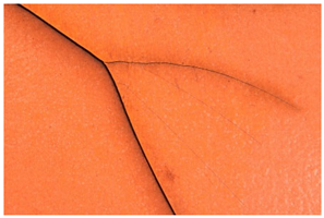 Polymers 14 00121 i028