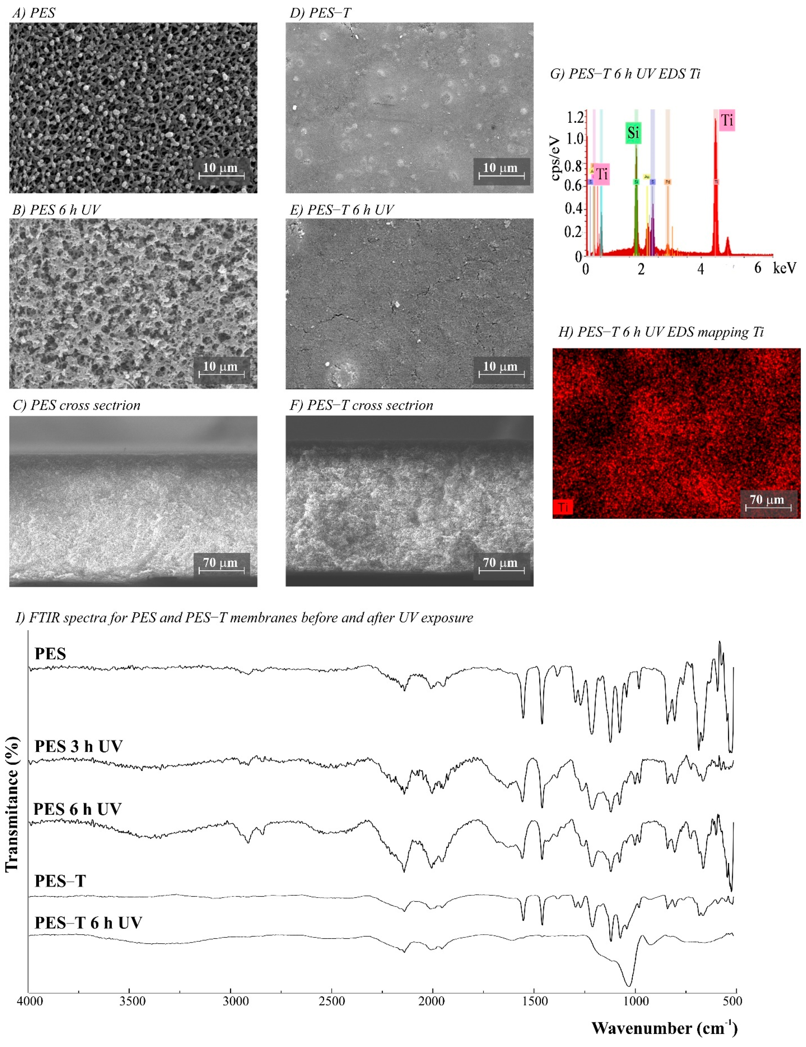 Polymers 14 00124 g003