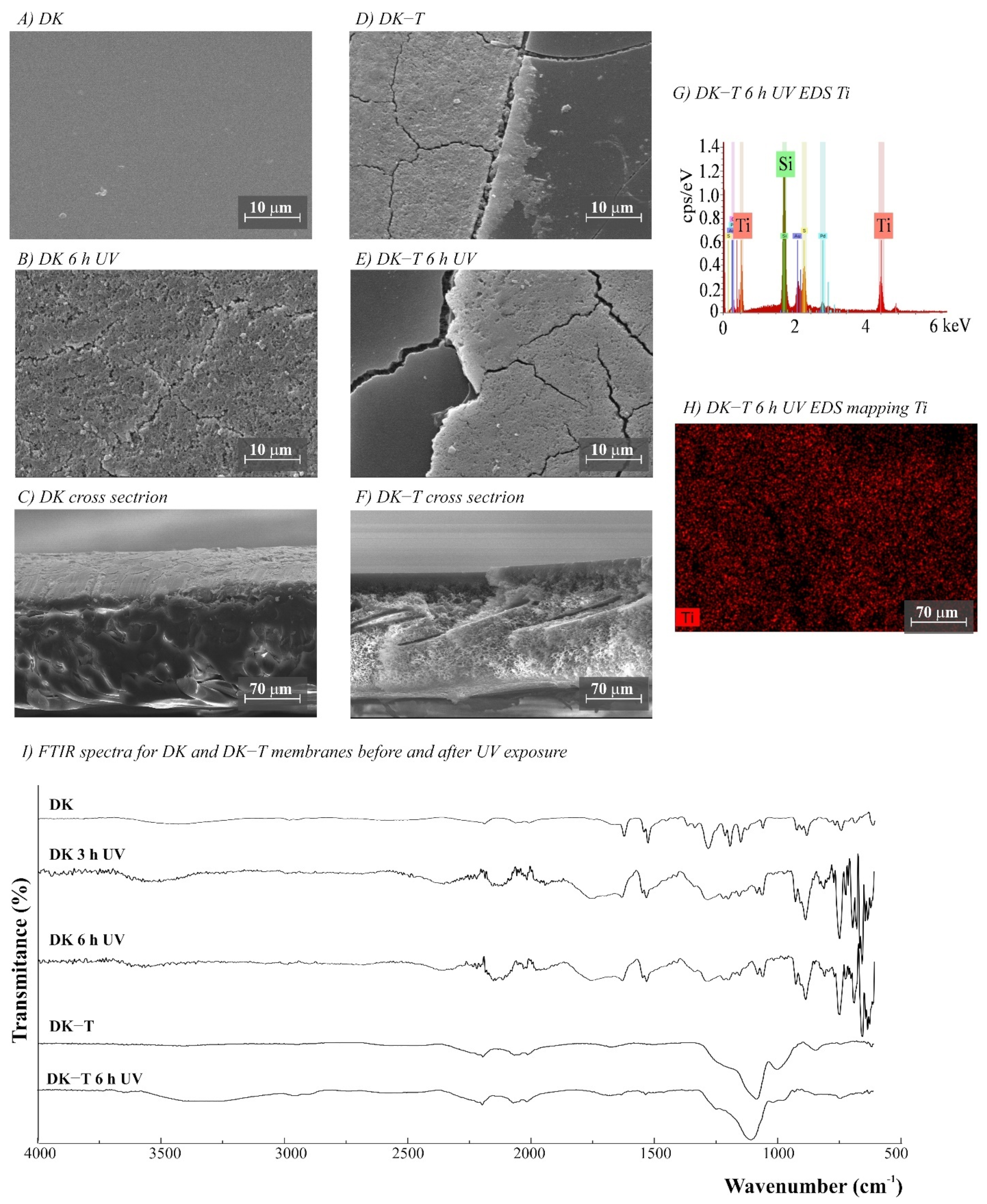 Polymers 14 00124 g004