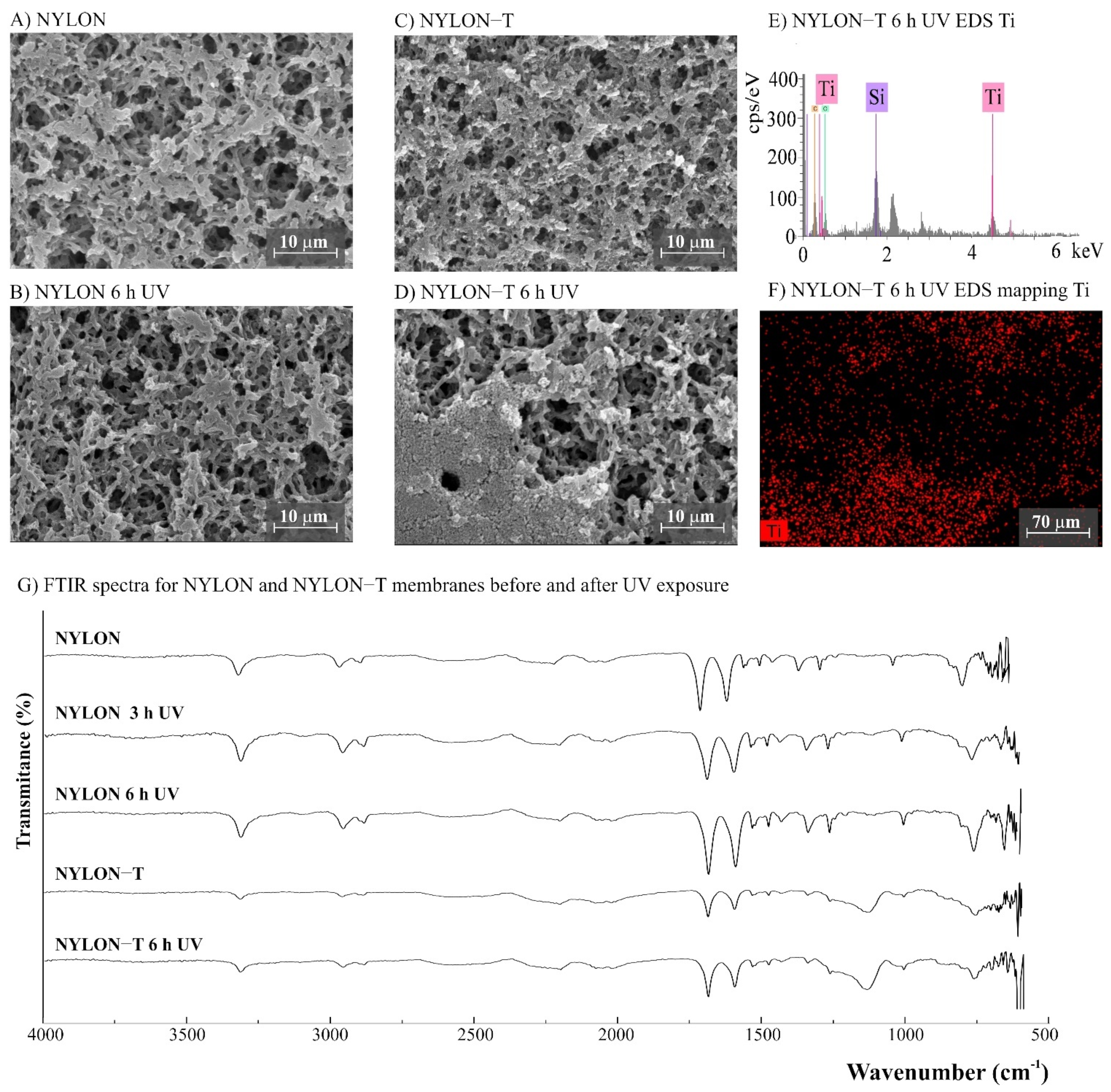 Polymers 14 00124 g006