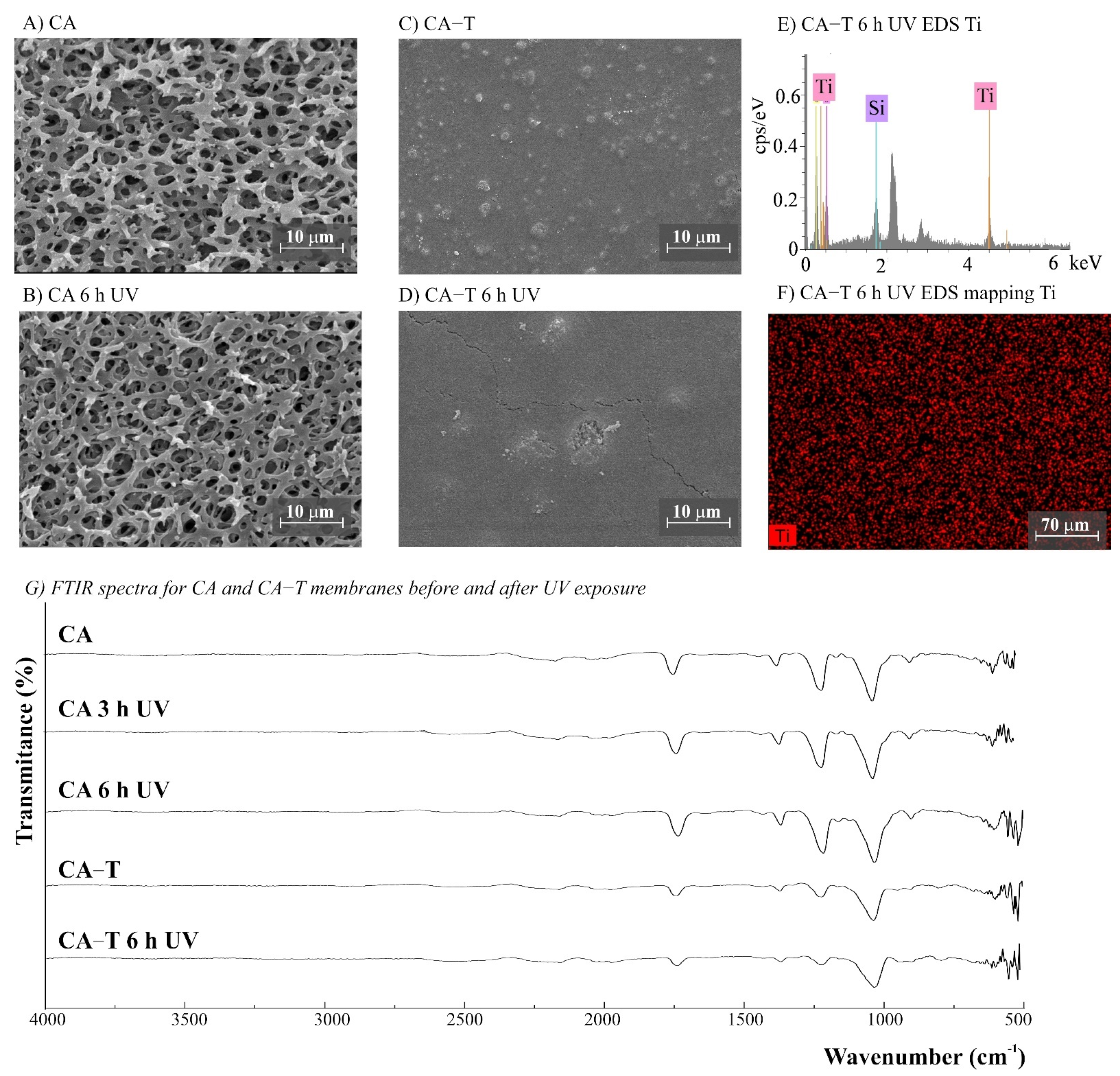 Polymers 14 00124 g007