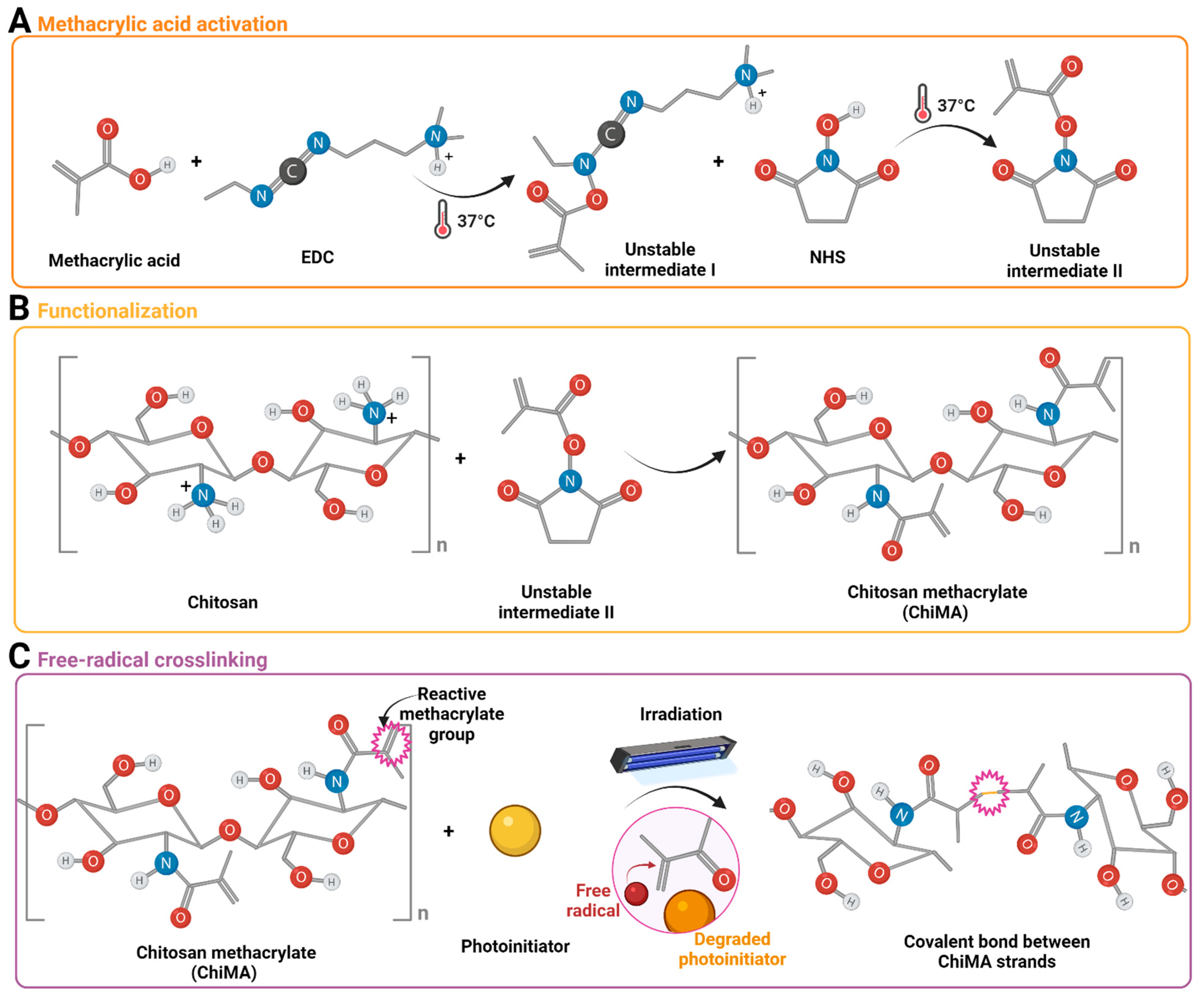 Polymers 14 00126 g001