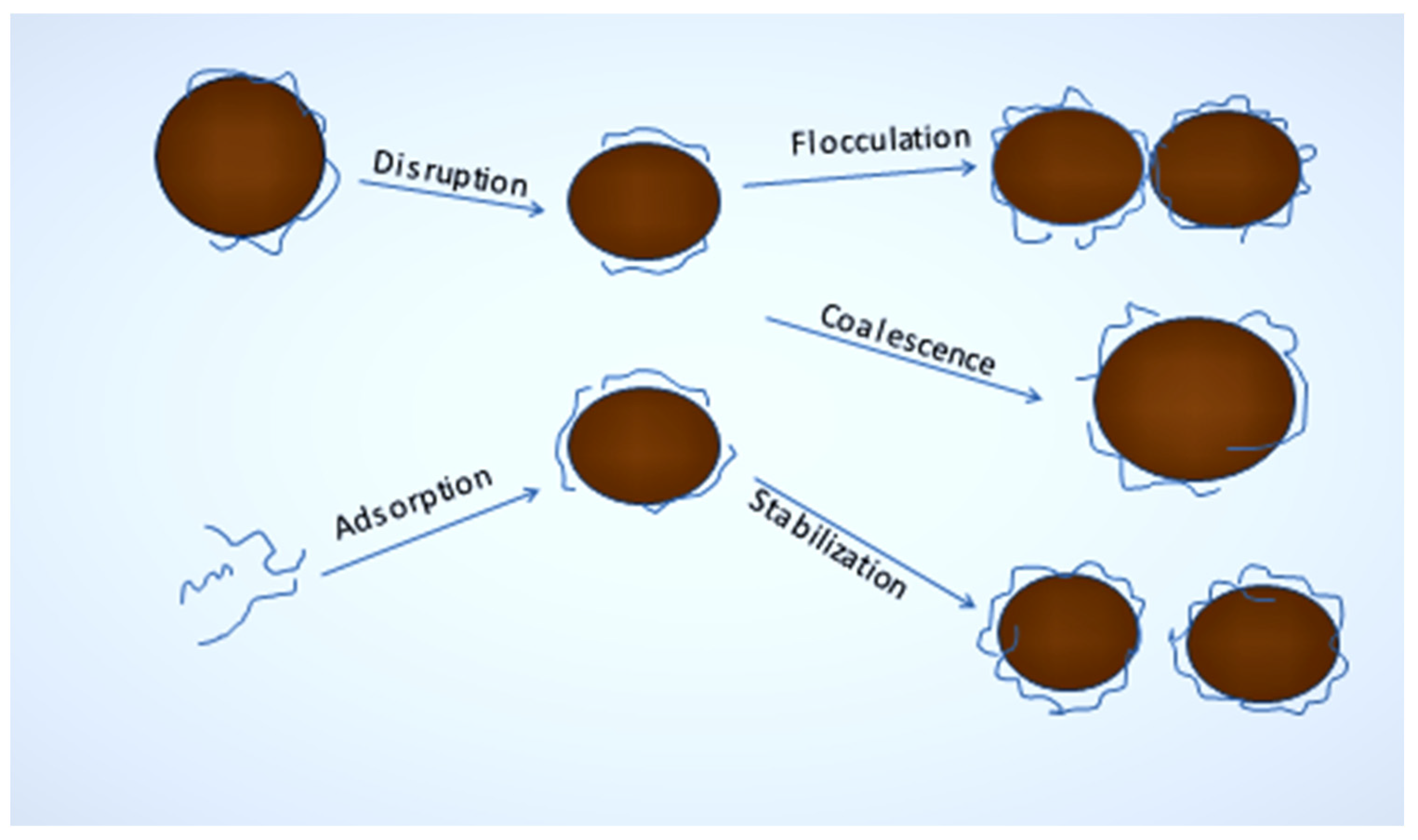 Polymers 14 00127 g004
