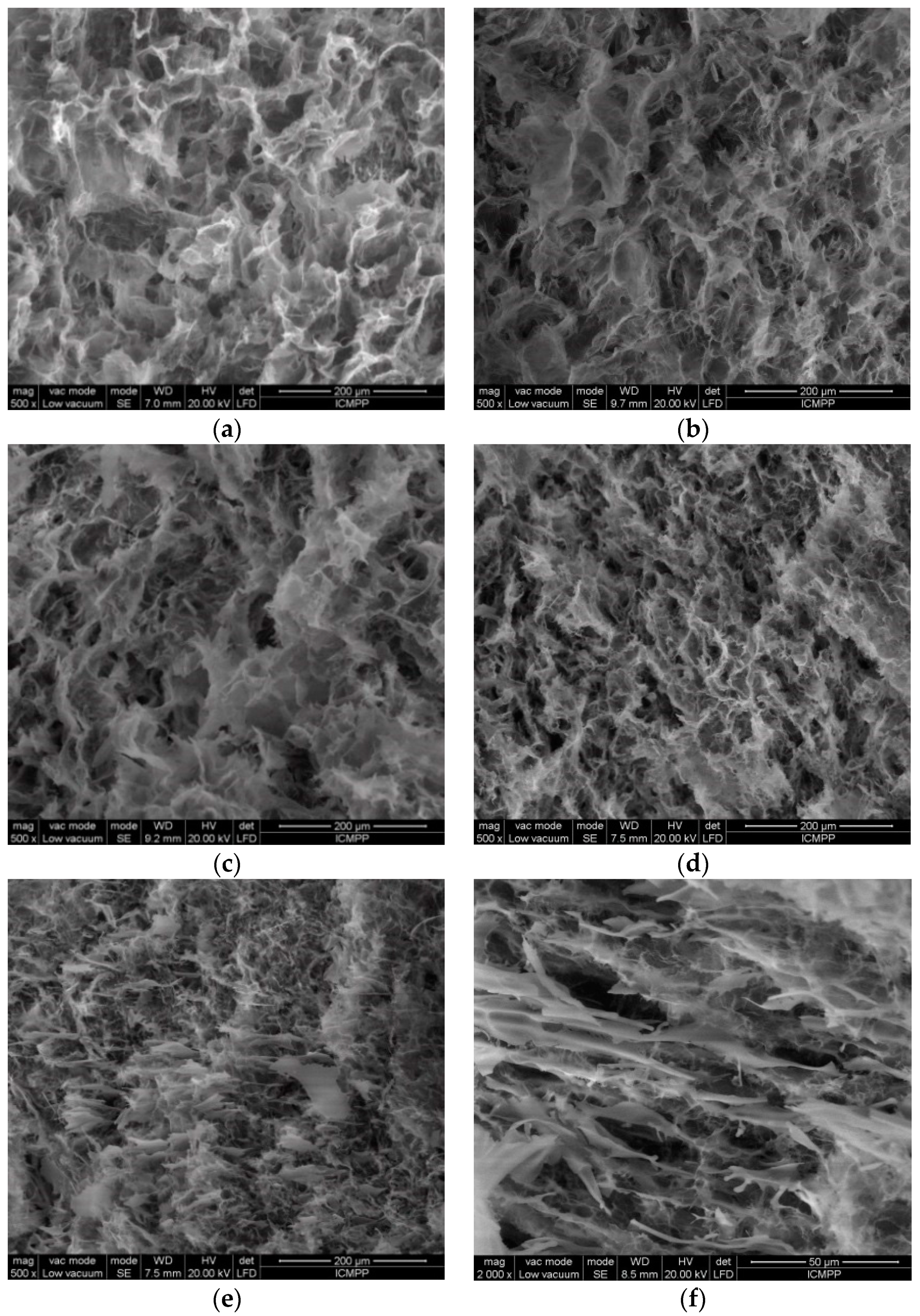 Polymers 14 00130 g004