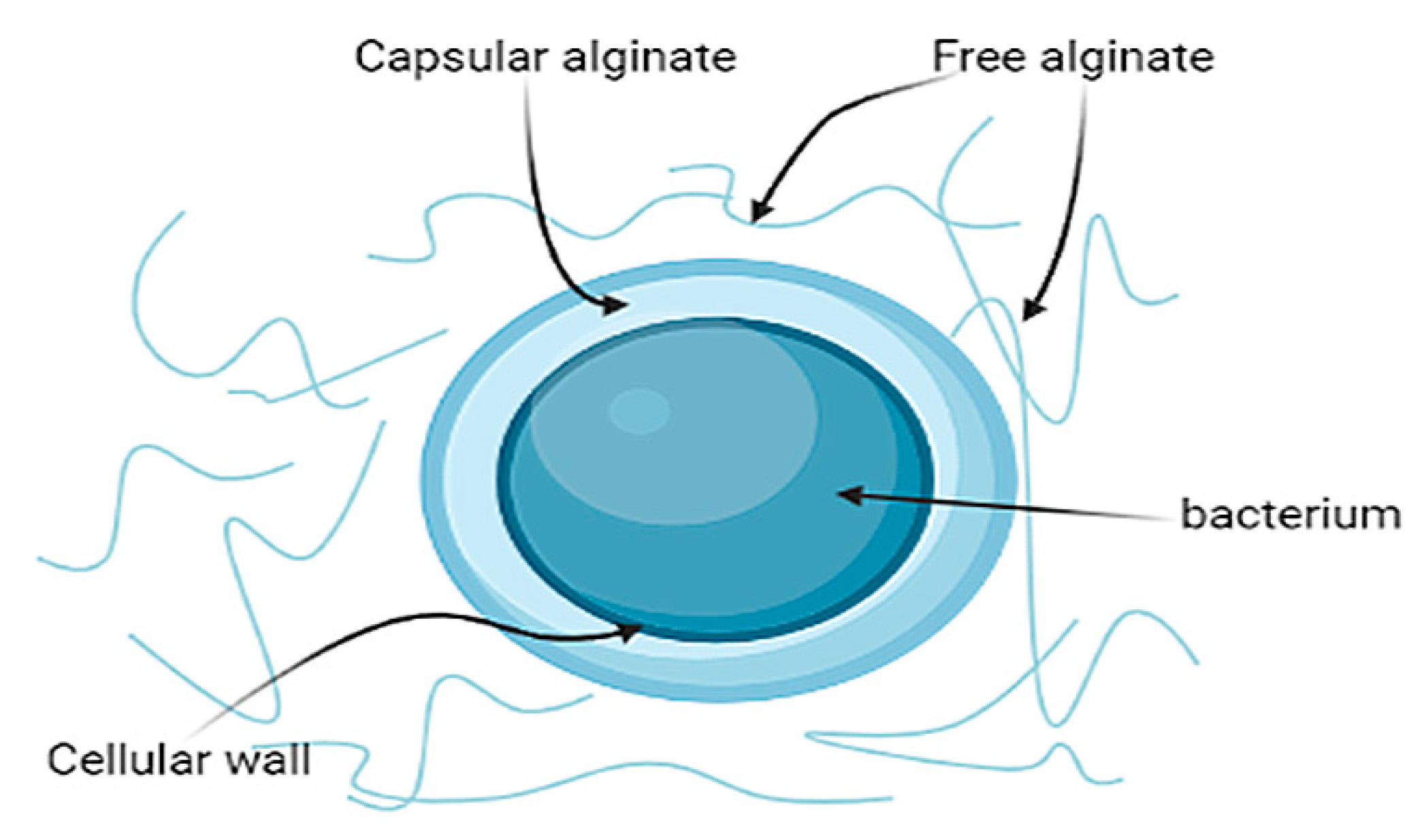 Polymers 14 00131 g003 Polymers 14 00131 g003