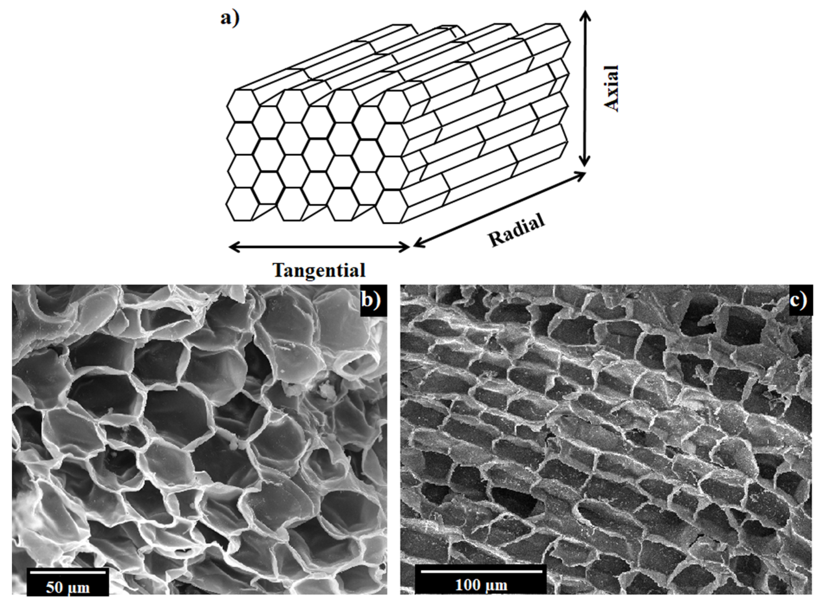 Polymers 14 00134 g001