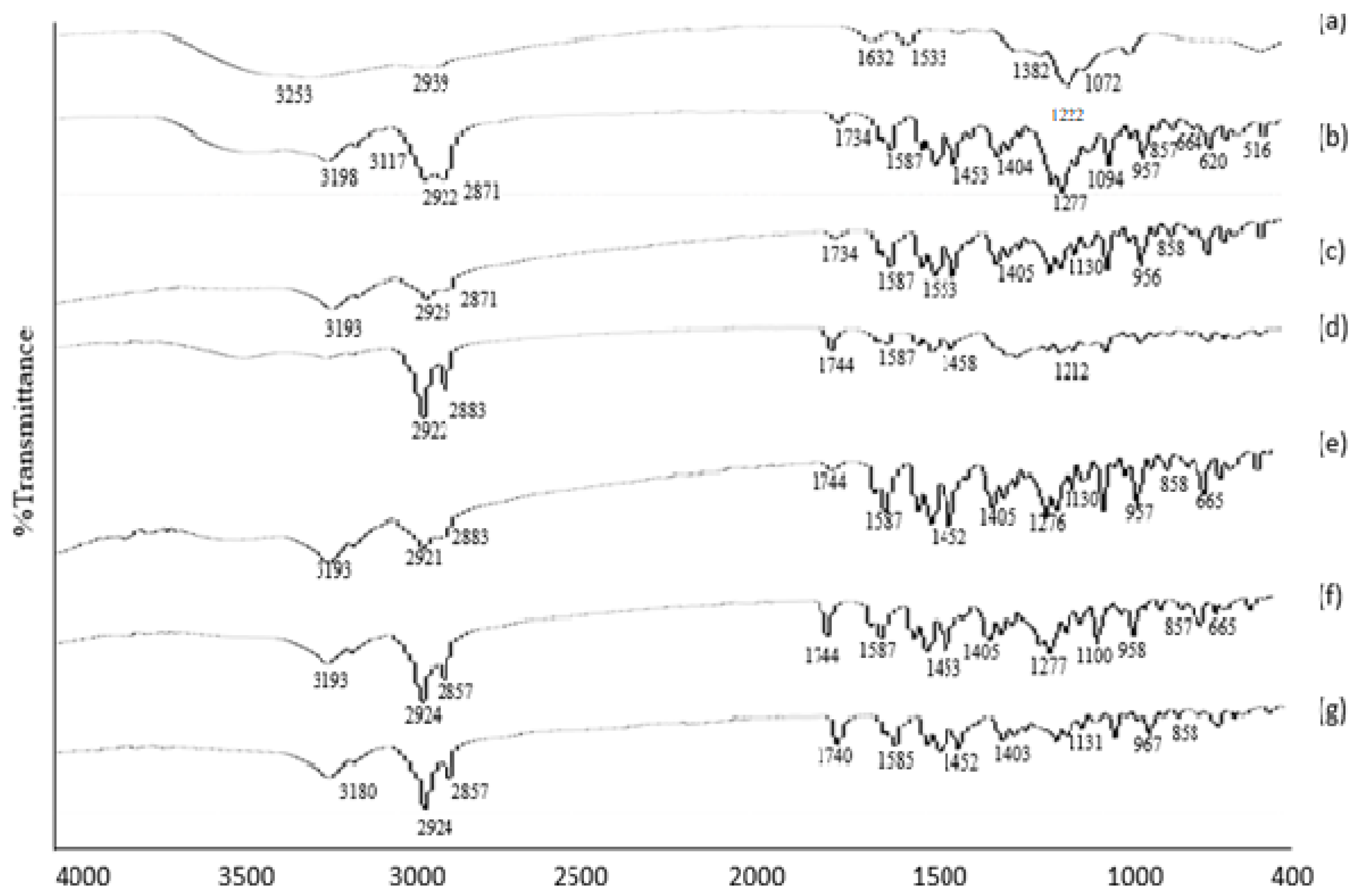 Polymers 14 00135 g001
