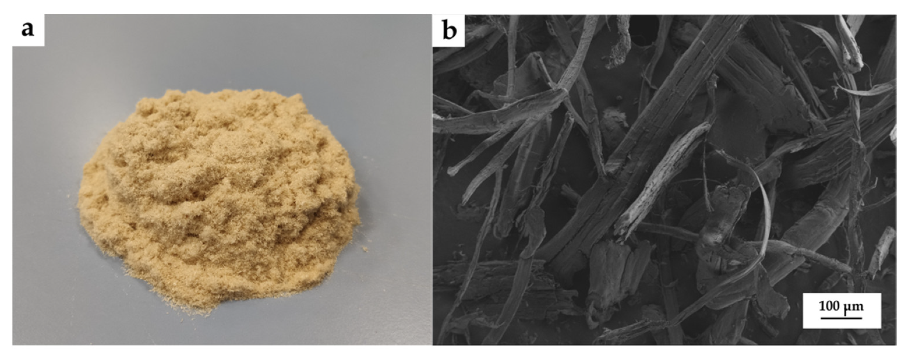 Polymers 14 00138 g001 550