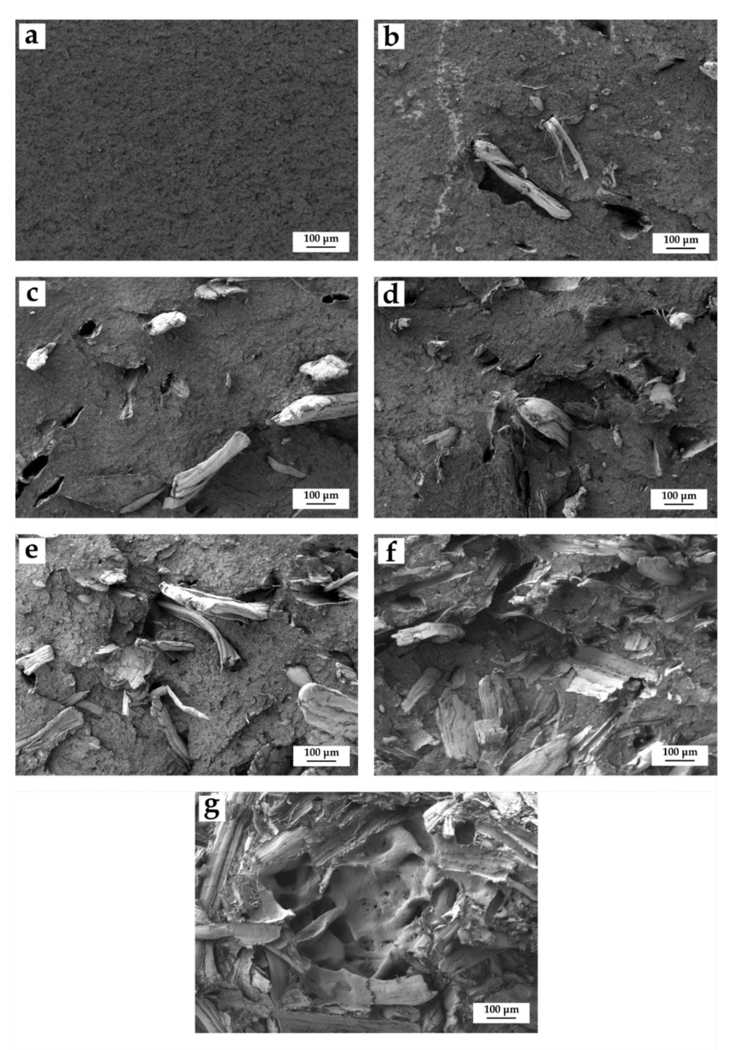 Polymers 14 00138 g003 550