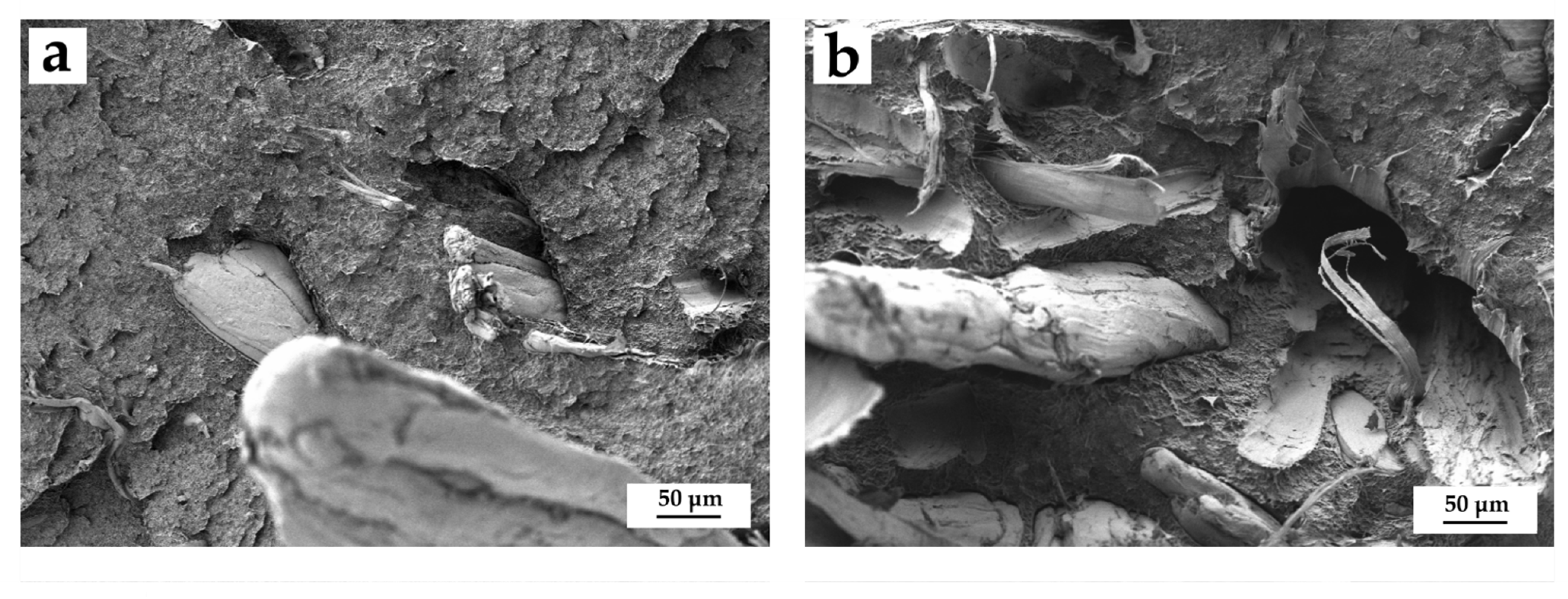 Polymers 14 00138 g004 550