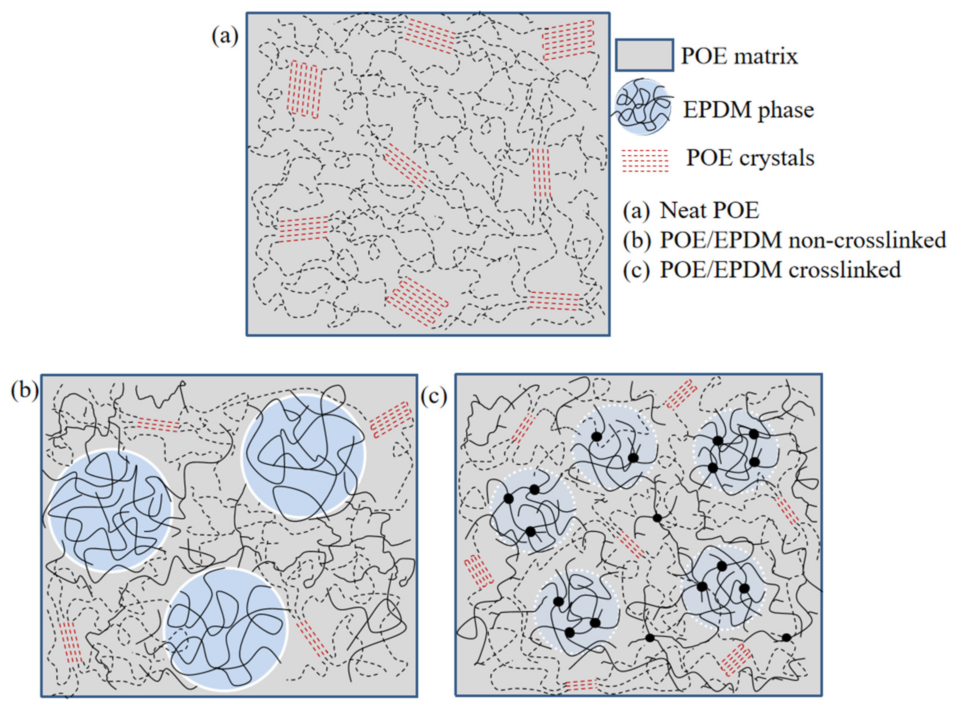 Polymers 14 00139 g004