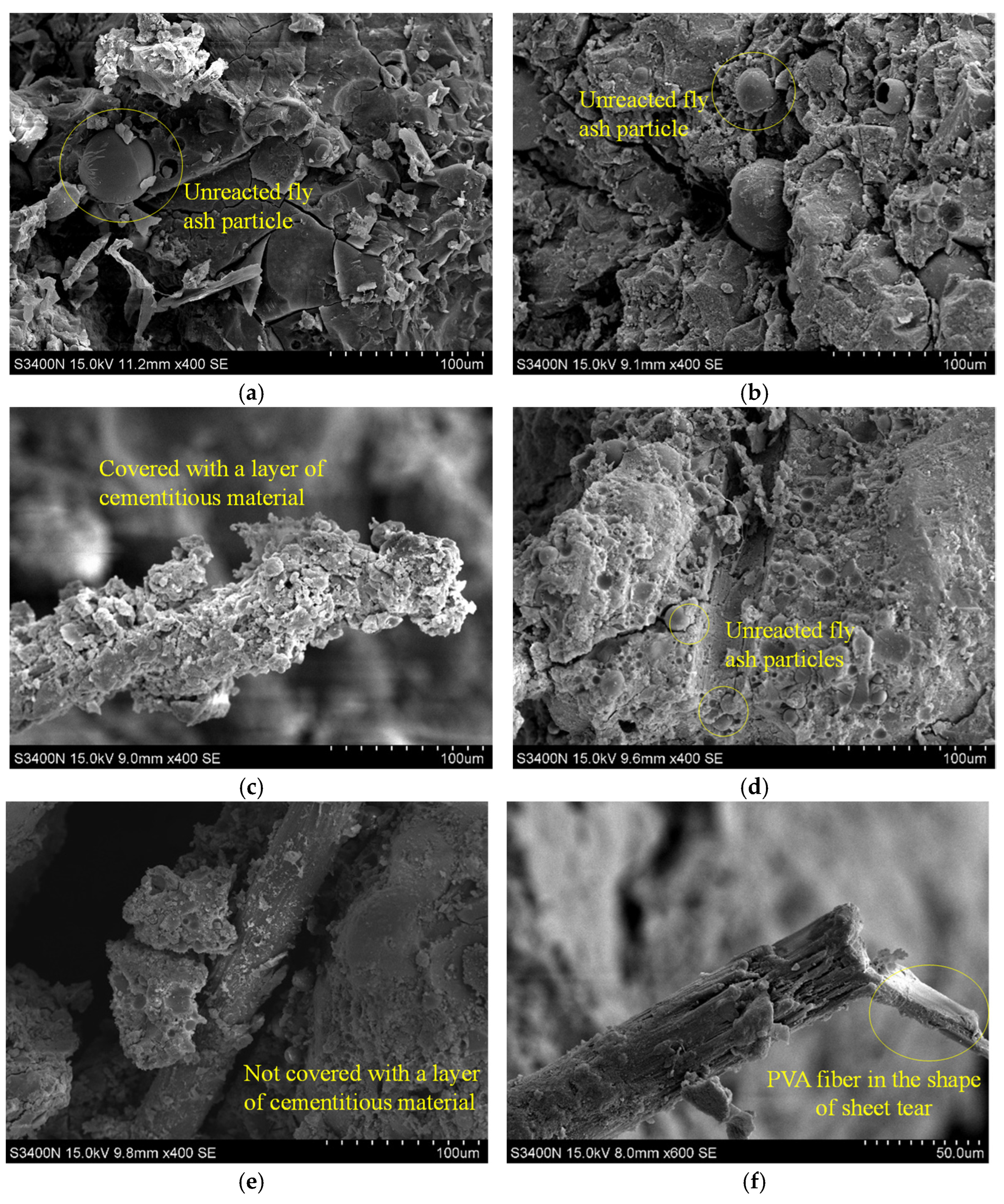 Polymers 14 00142 g011