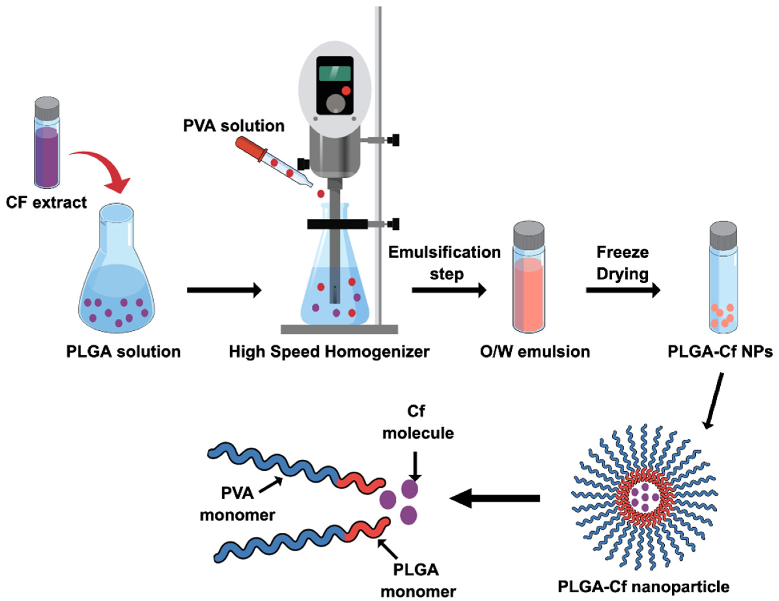 Polymers 14 00144 g001 550
