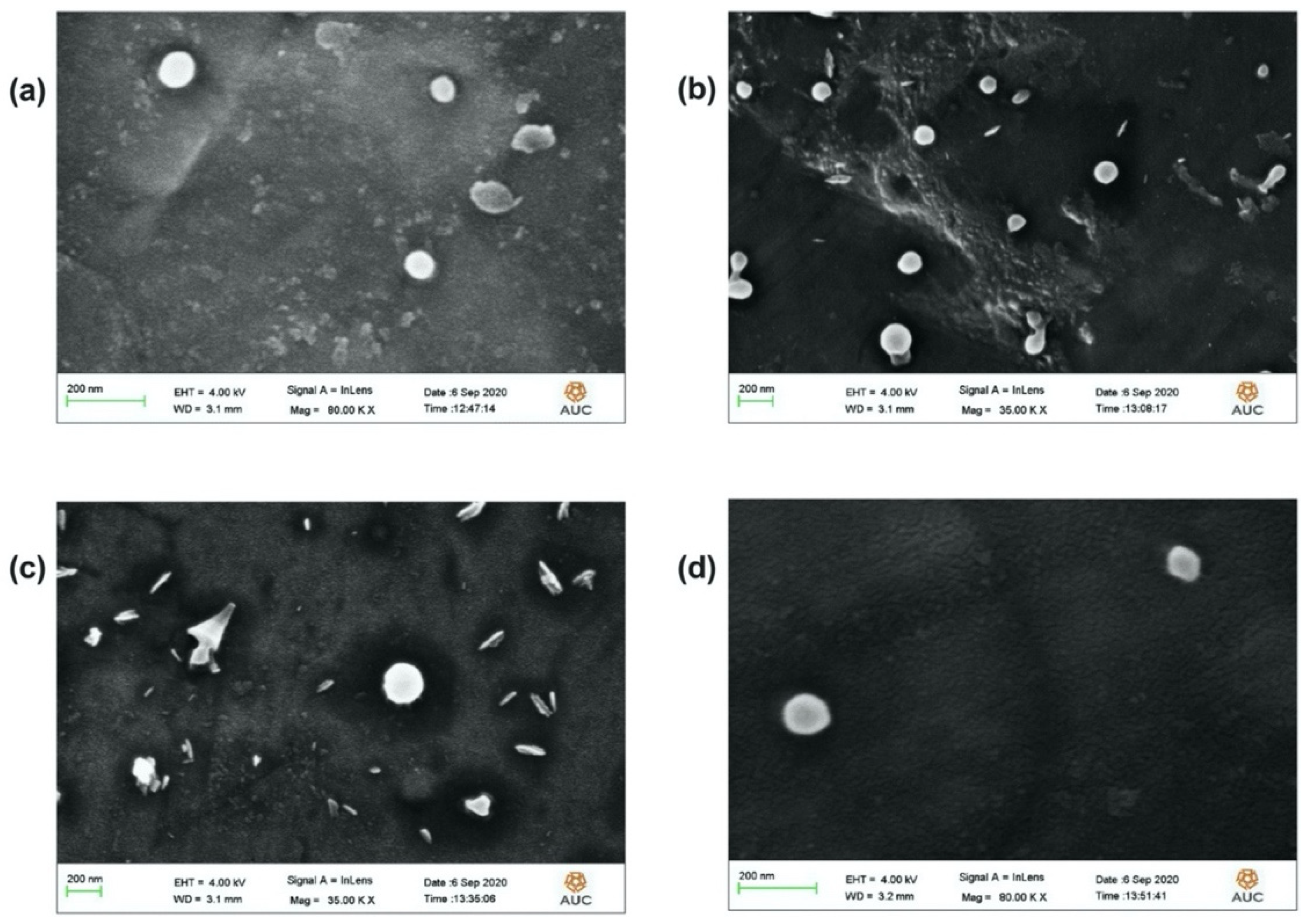 Polymers 14 00144 g005 550