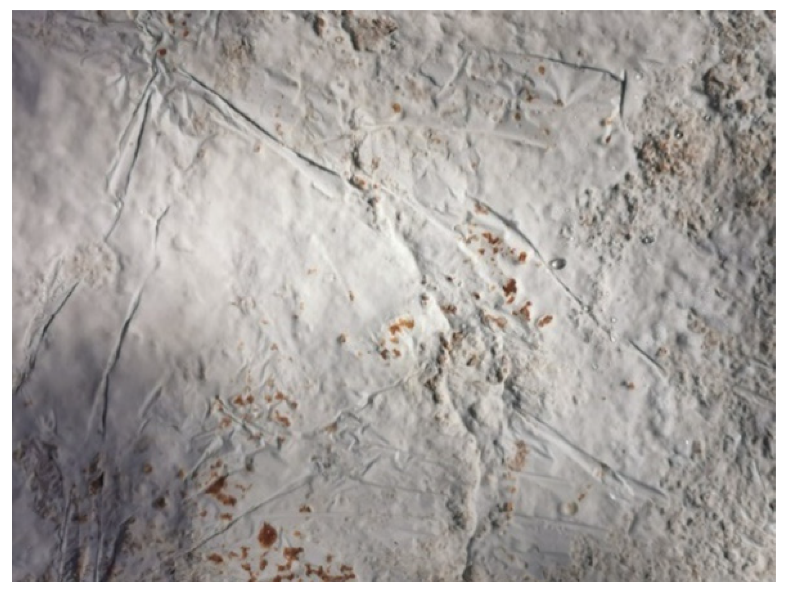 Polymers 14 00145 g007 550