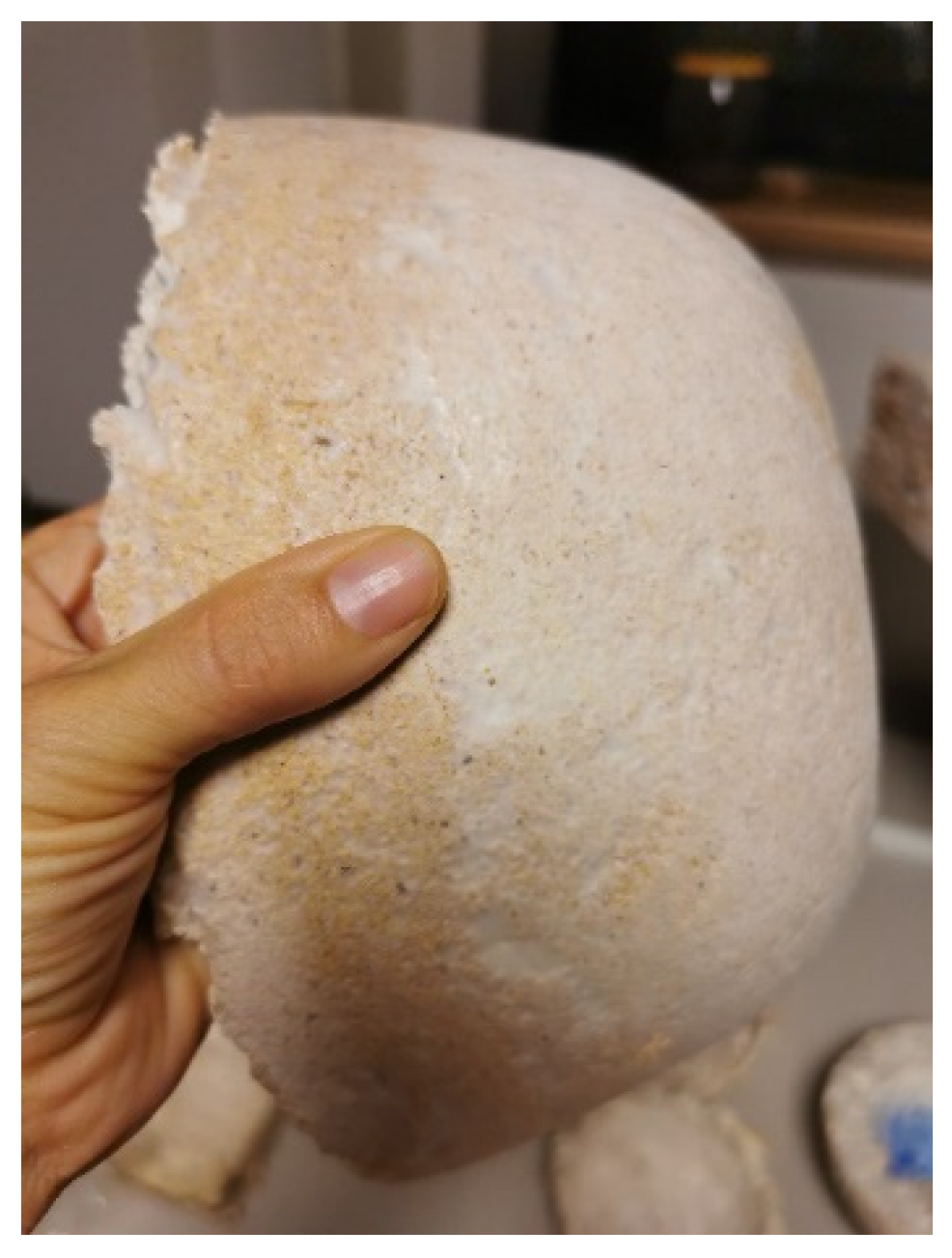 Polymers 14 00145 g008 550