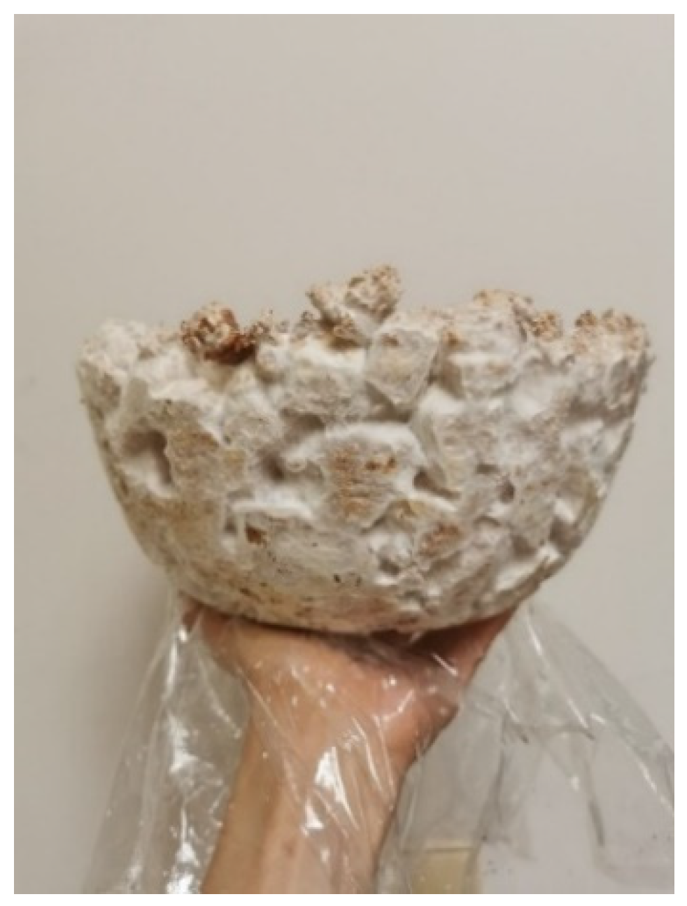 Polymers 14 00145 g009 550