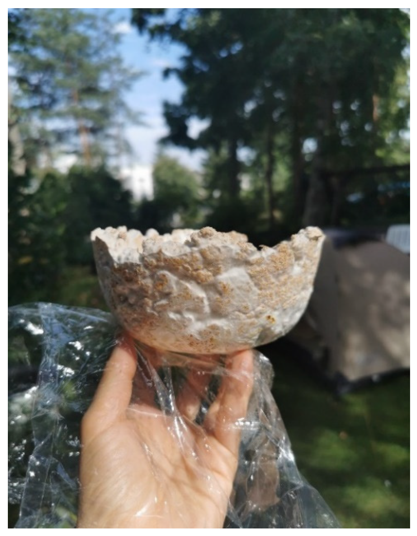 Polymers 14 00145 g012 550