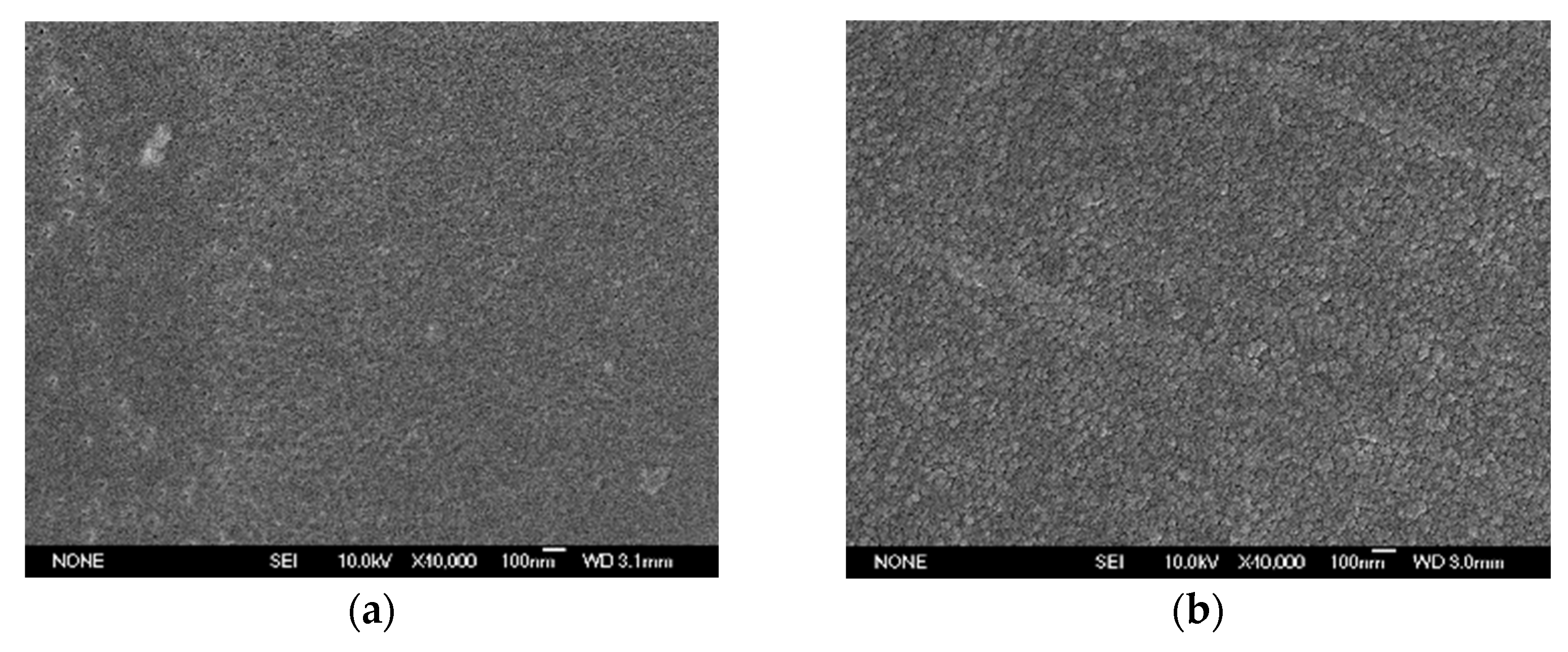 Polymers 14 00146 g005 550