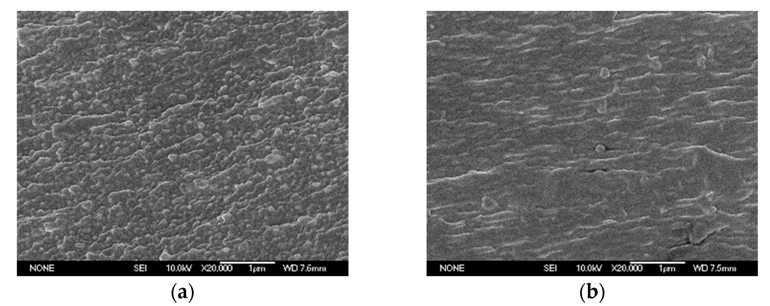 Polymers 14 00146 g006 550