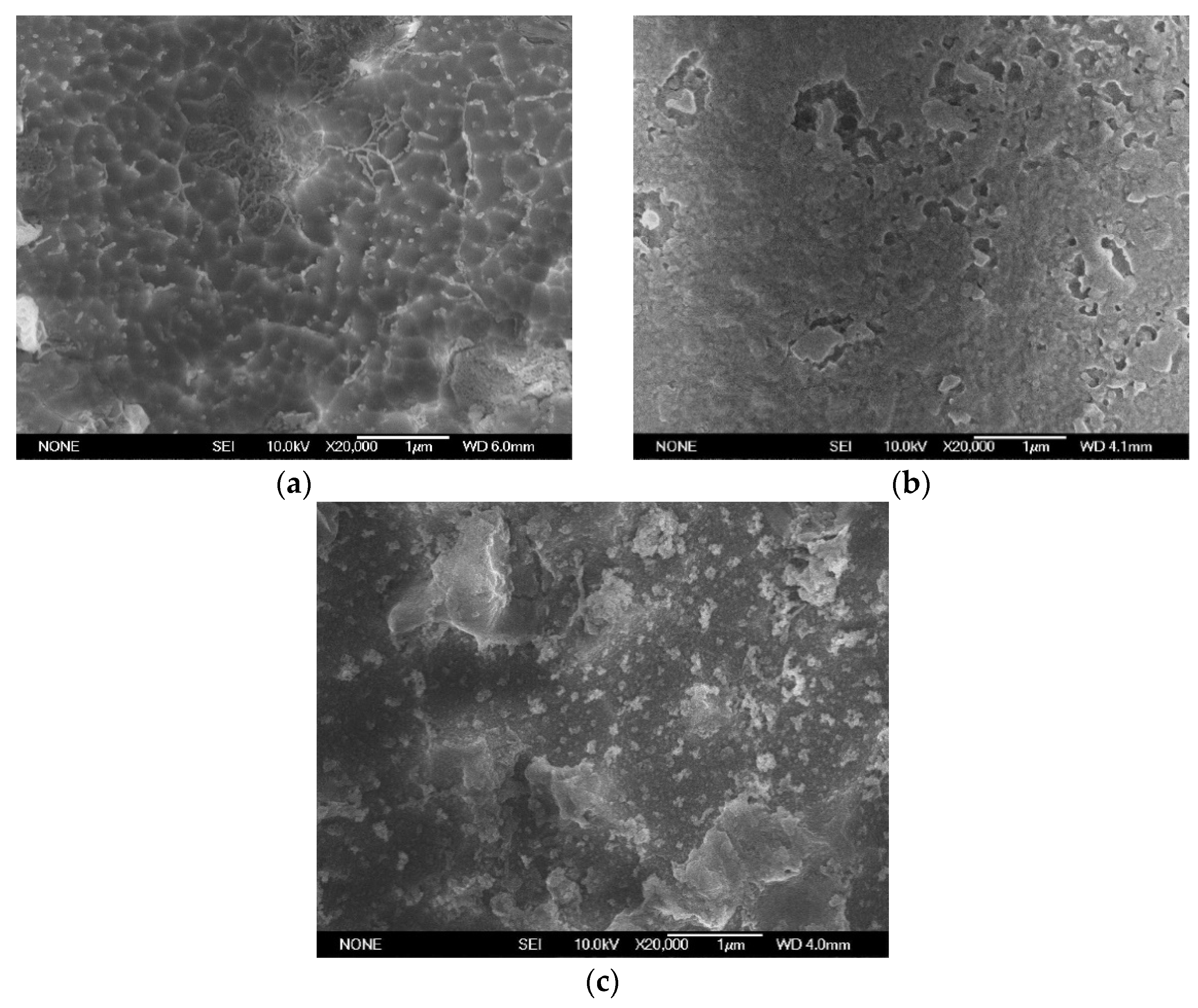Polymers 14 00146 g015 550