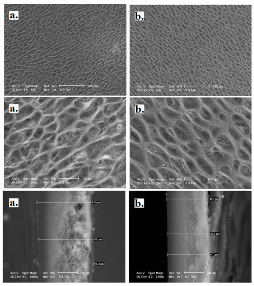 Polymers 14 00148 g008 550