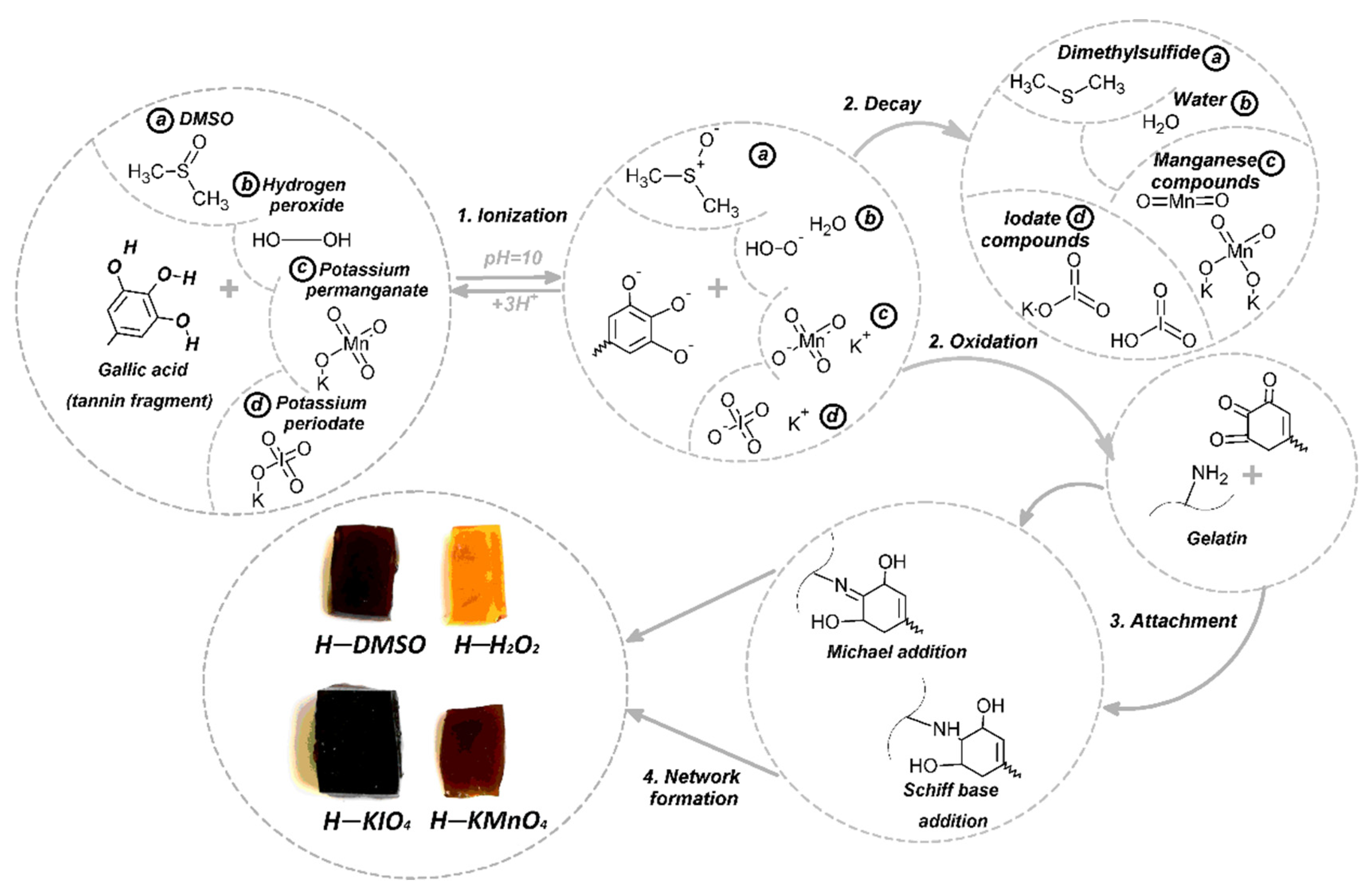 Polymers 14 00150 g001 550