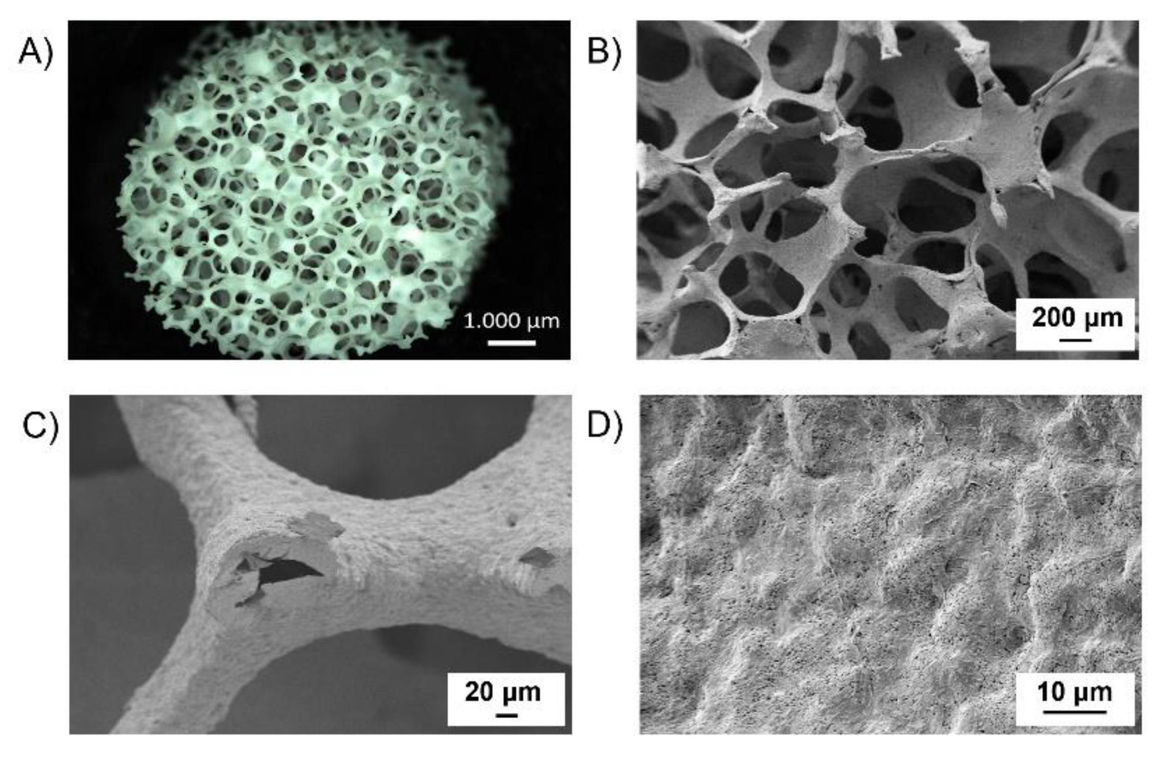 Polymers 14 00151 g004 550