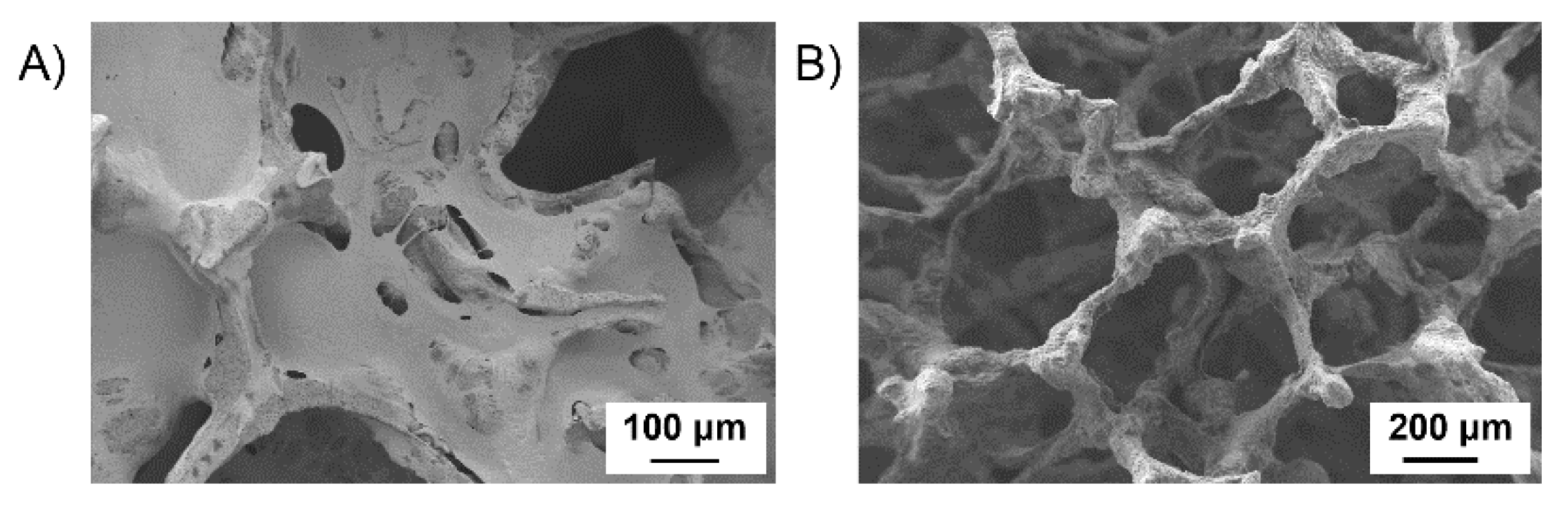 Polymers 14 00151 g006 550