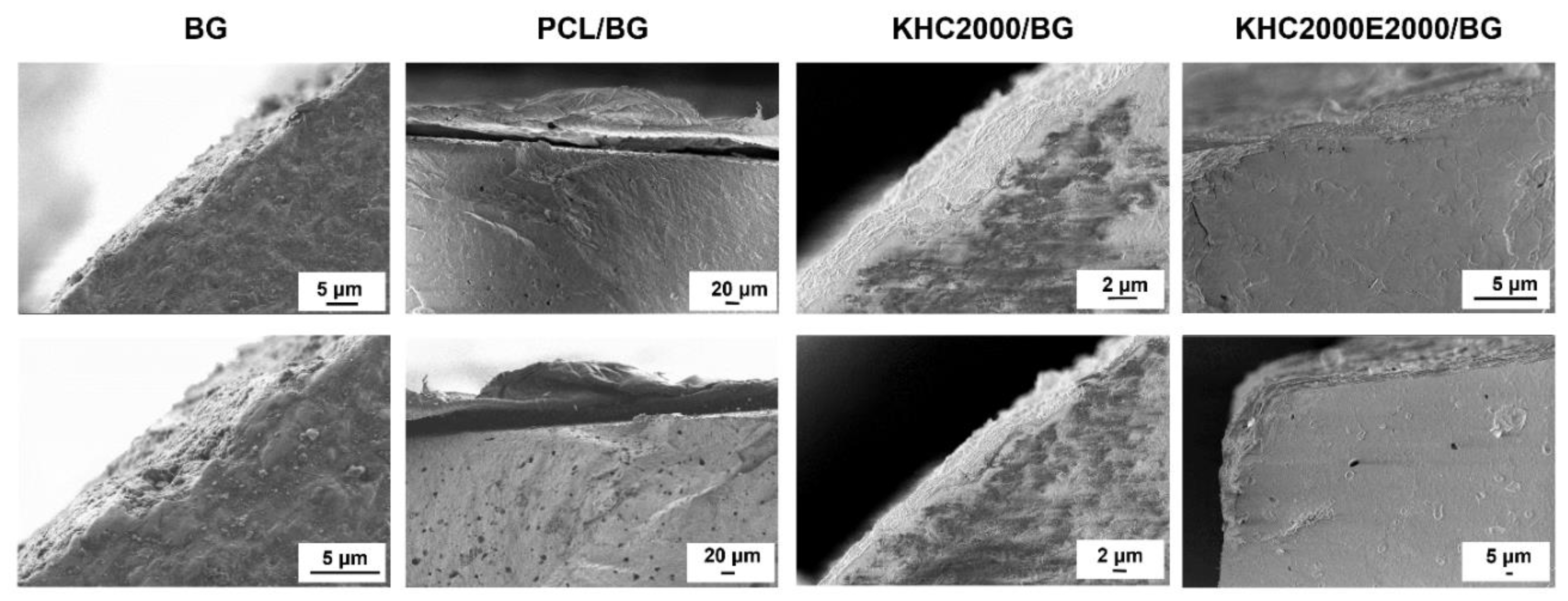 Polymers 14 00151 g007 550