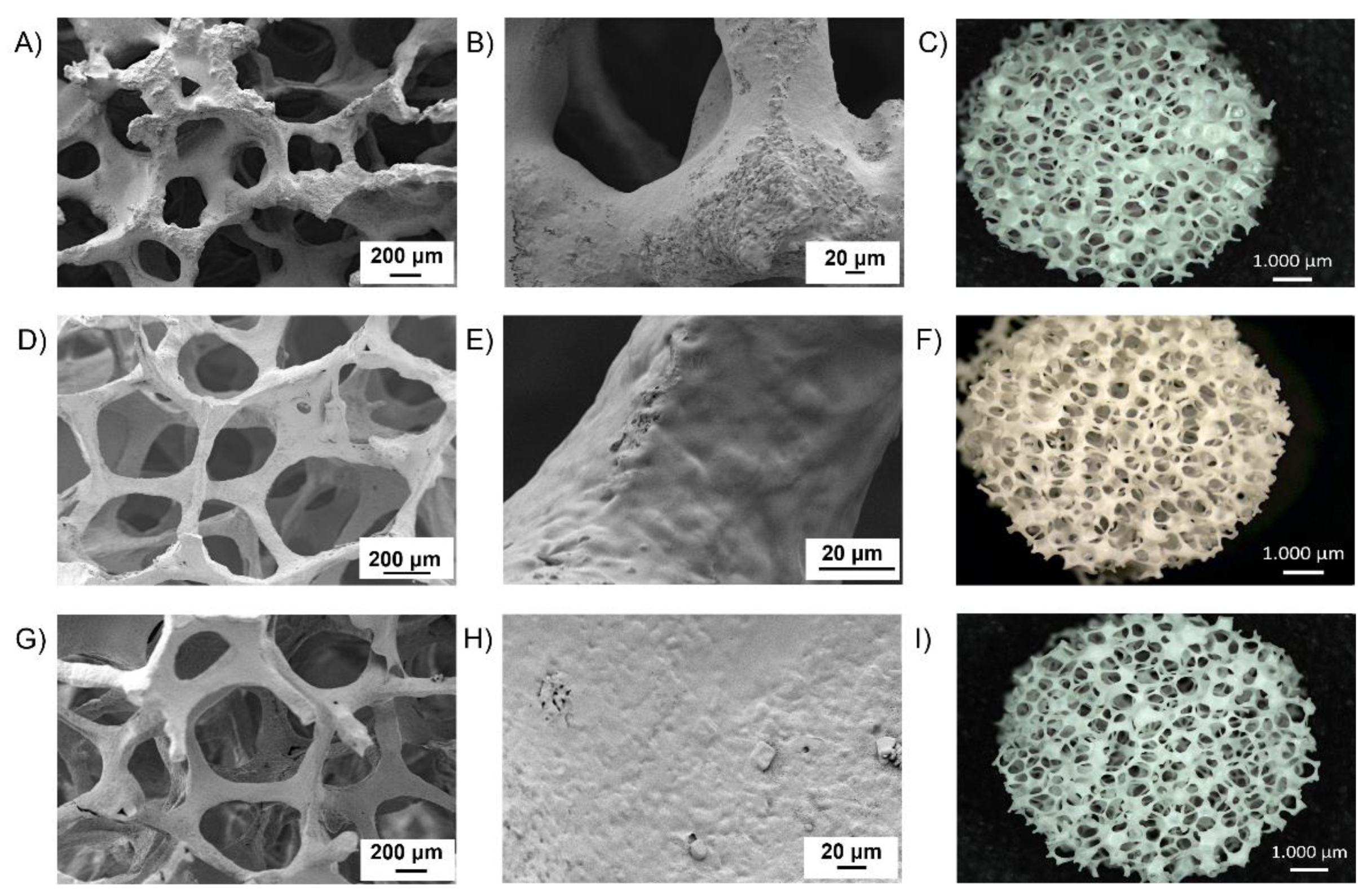 Polymers 14 00151 g008 550