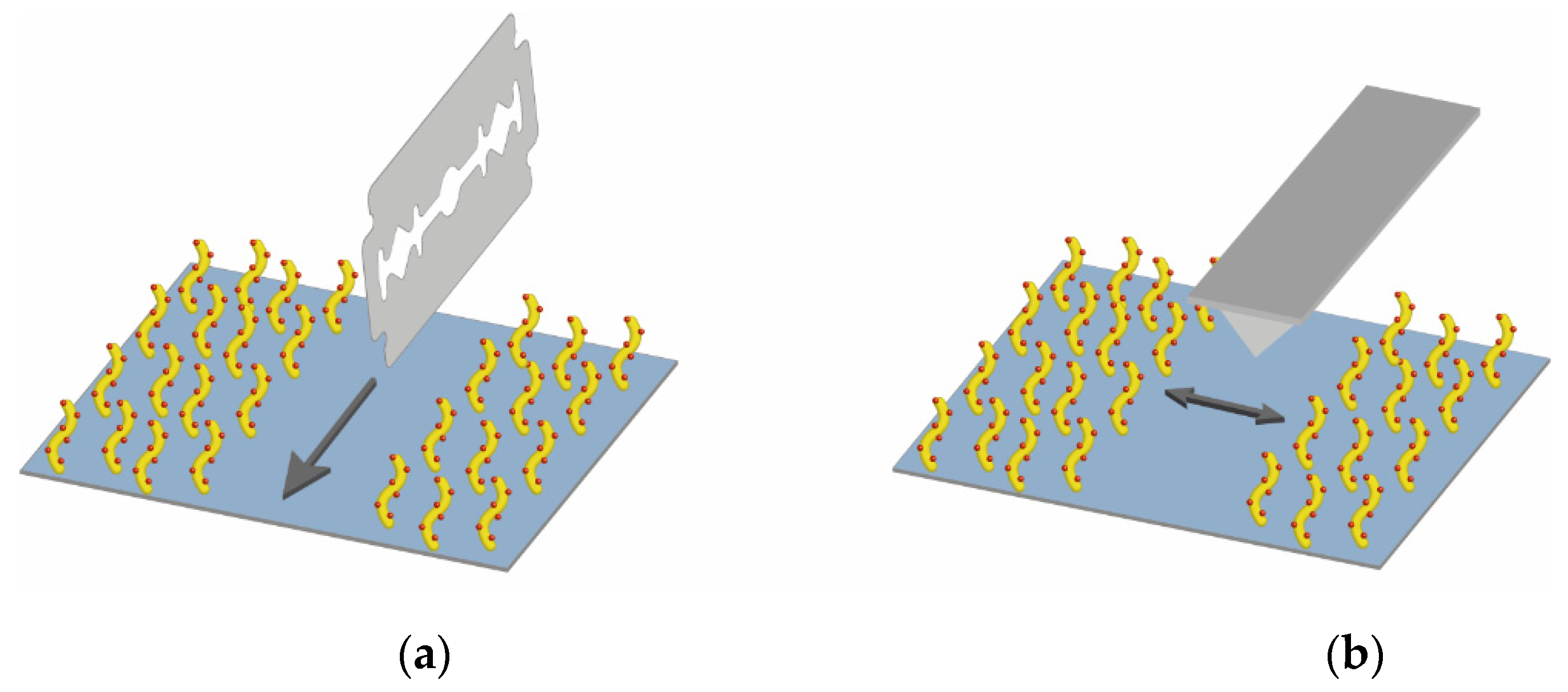 Polymers 14 00152 g011 Polymers 14 00152 g011