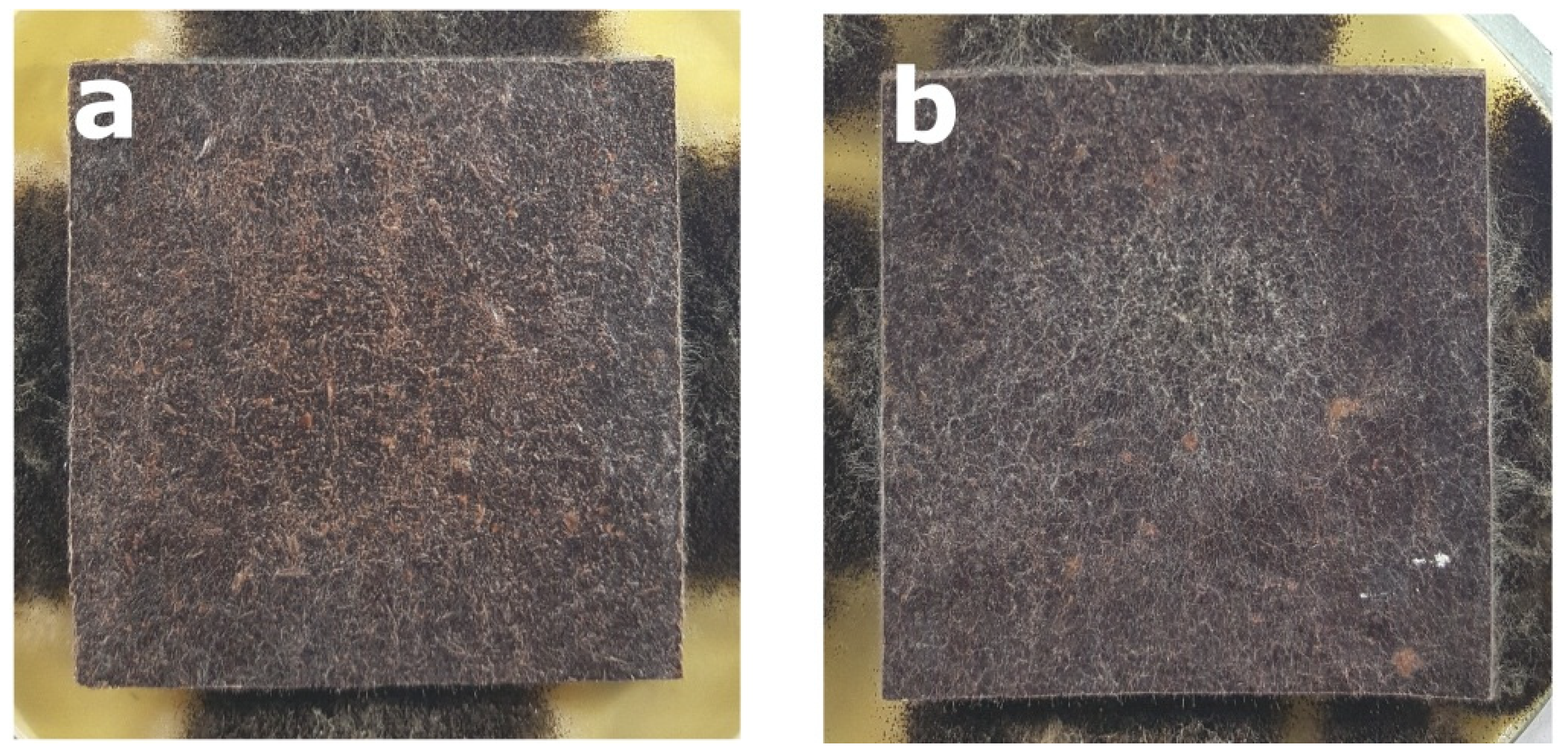 Polymers 14 00157 g003 Polymers 14 00157 g003