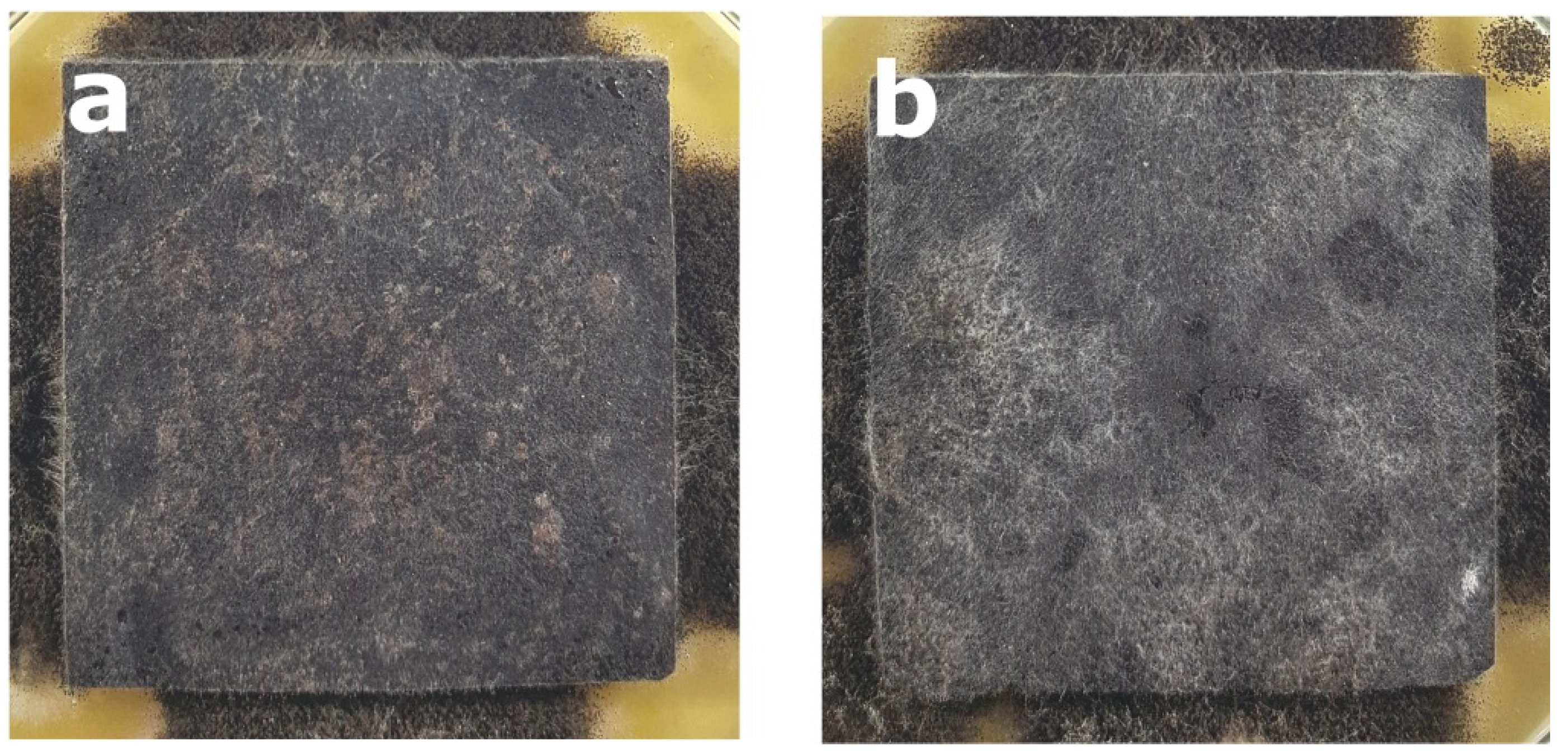 Polymers 14 00157 g004 Polymers 14 00157 g004