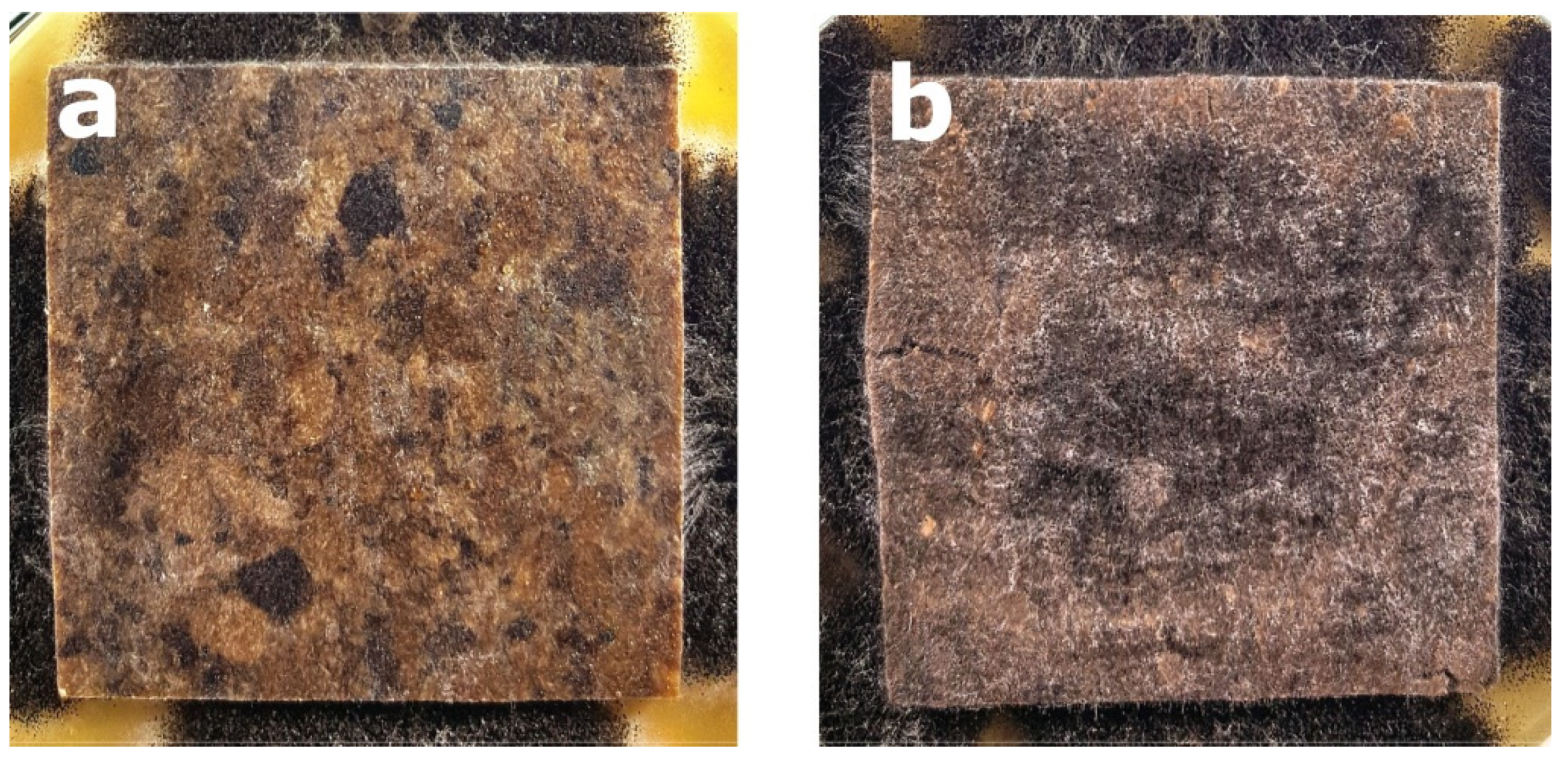 Polymers 14 00157 g006 Polymers 14 00157 g006