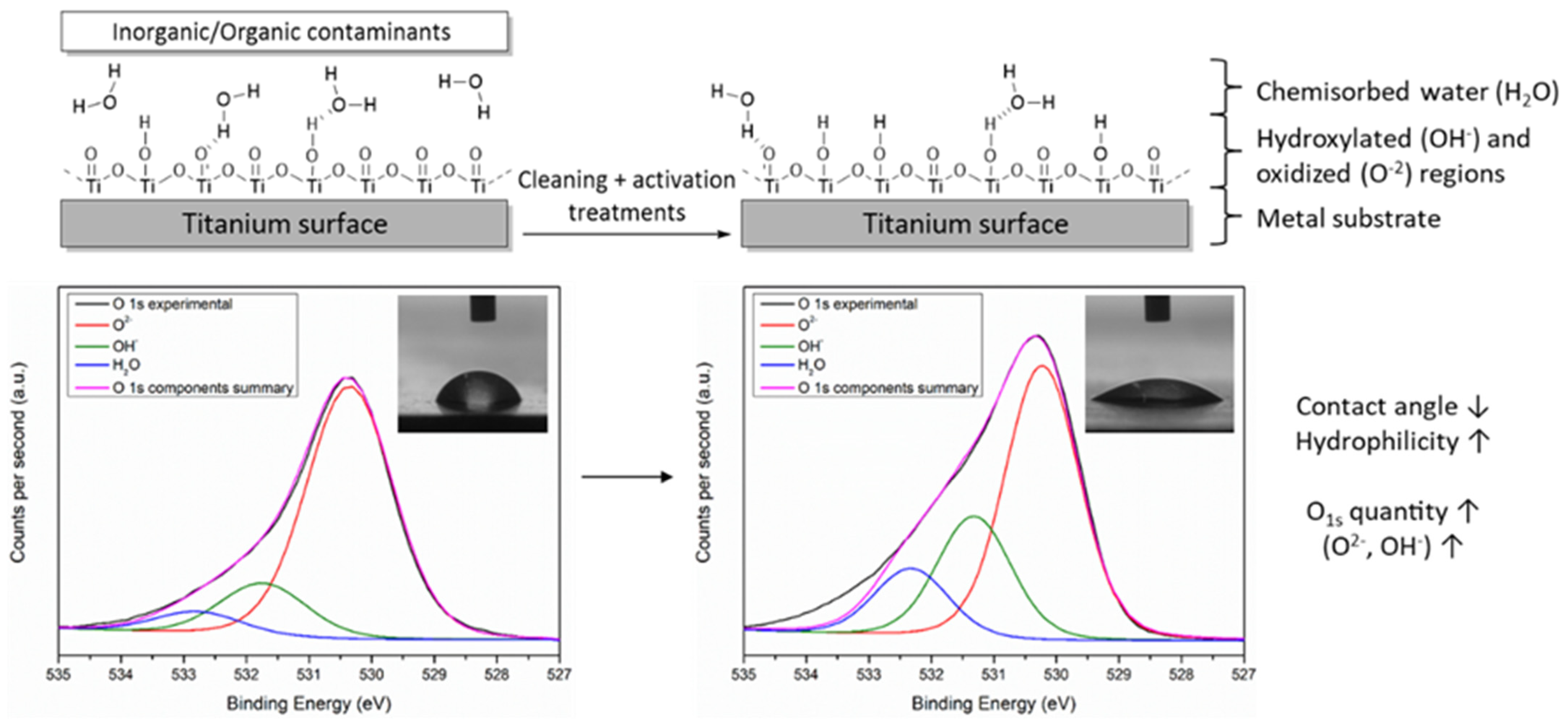 Titanium dioxide inorganic and organic coating modification
