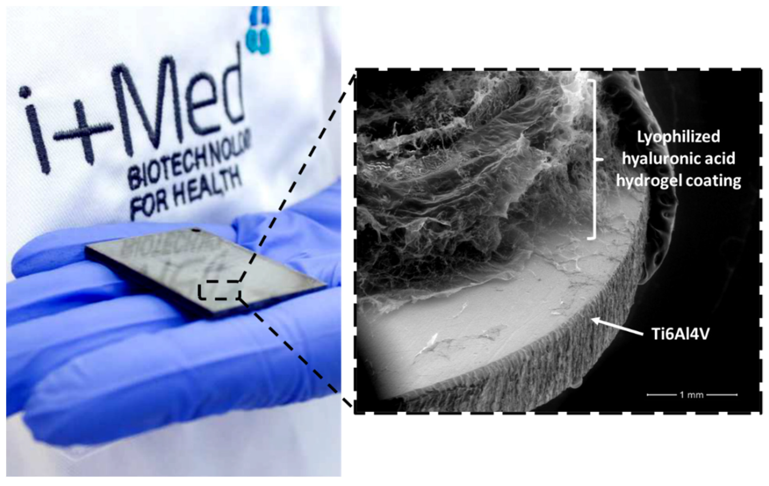 Polymers 14 00165 g009