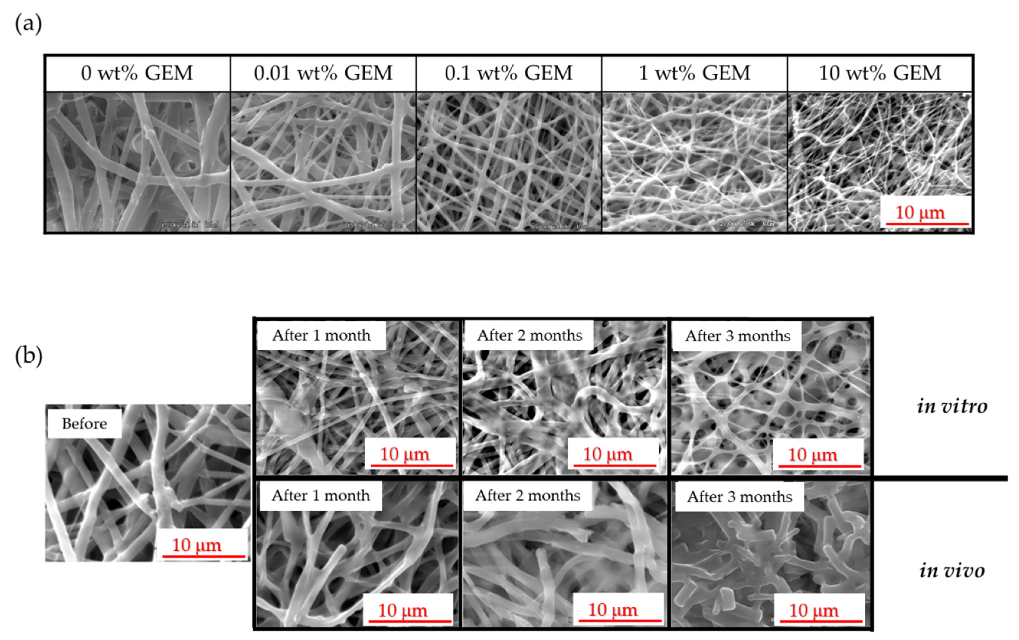 Polymers 14 00168 g001 550