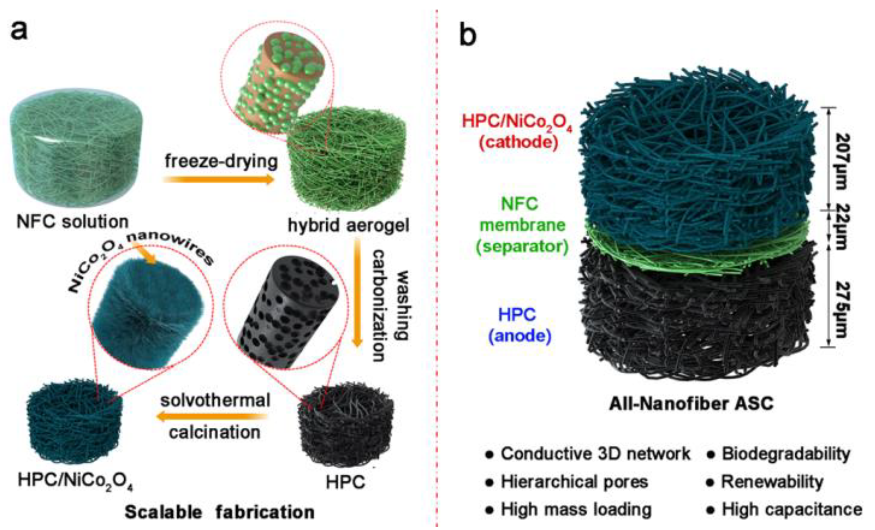 Polymers 14 00169 g006