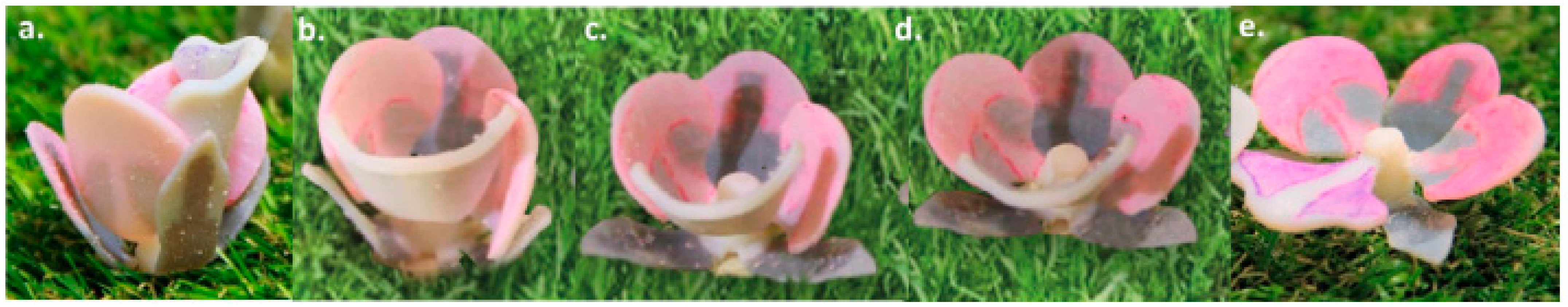 Polymers 14 00180 g031