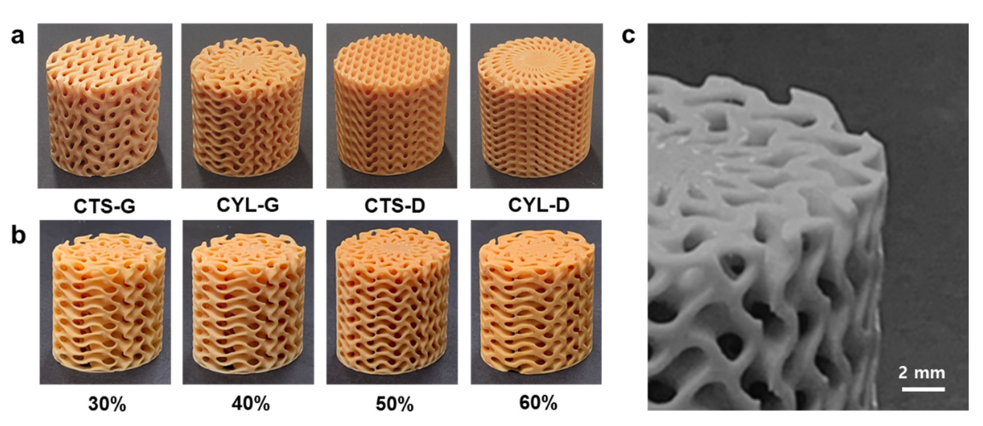 Polymers 14 00181 g007