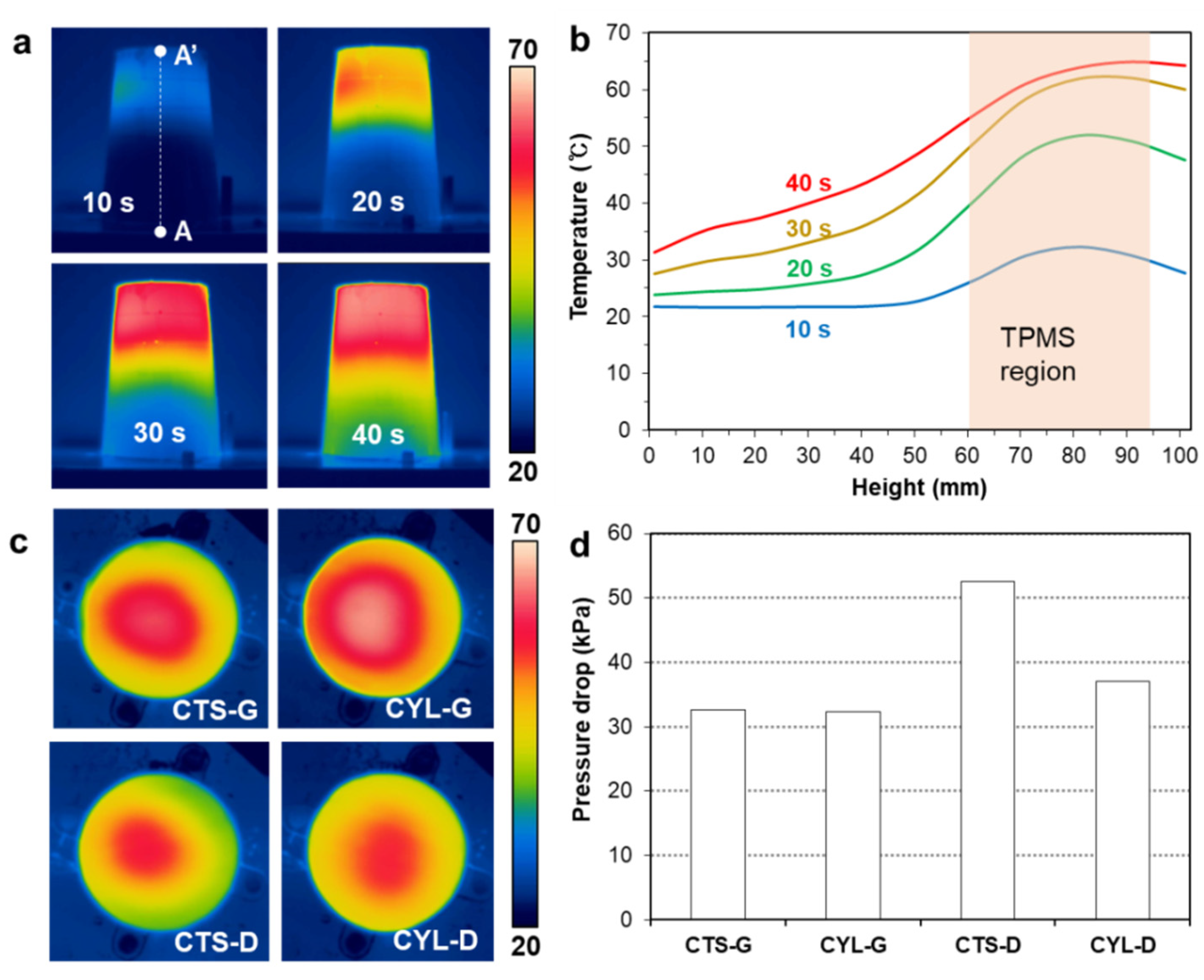 Polymers 14 00181 g008